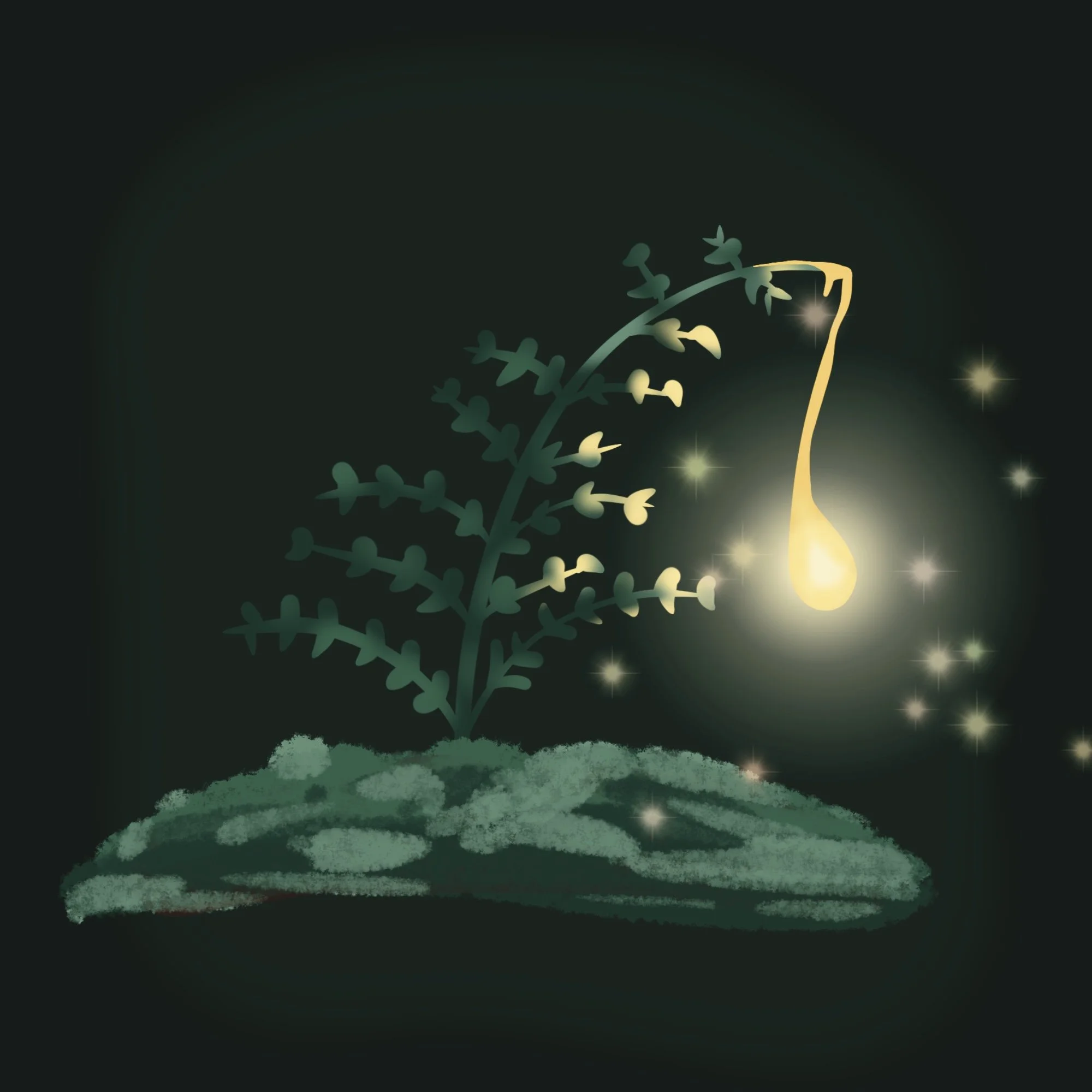 Secrets de la Forêt 4 : Fougère