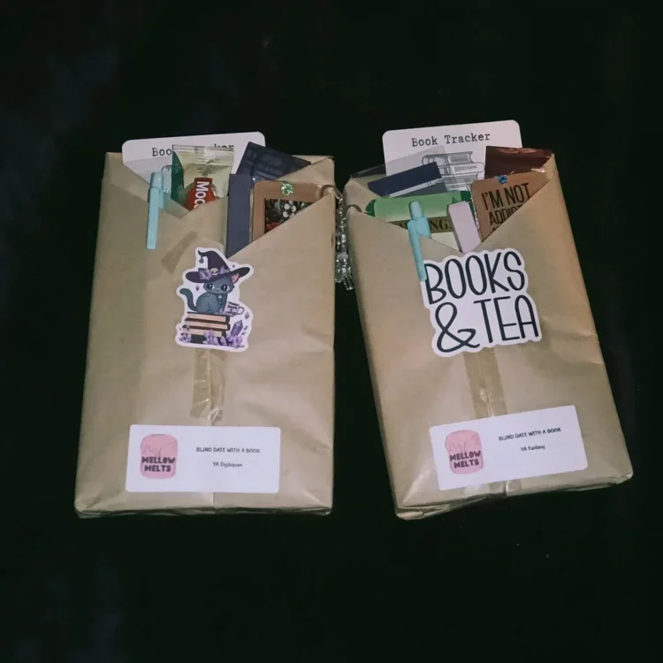 Blind Date with a Book - BOOK ONLY