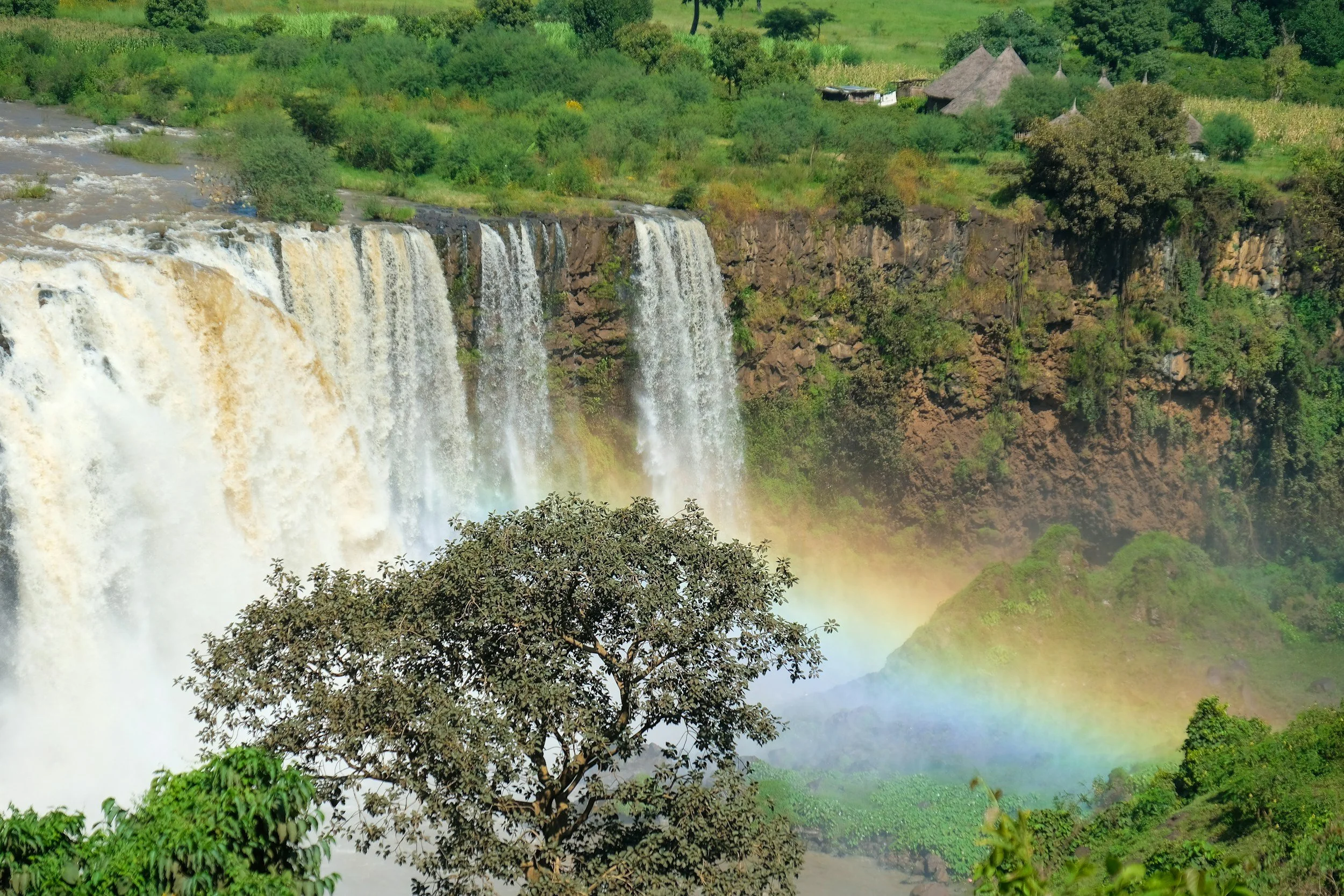 Blue Nile Falls in Ethiopia surrounded by lush vegetation, with a rainbow forming in the mist beneath the cascading waterfall.
