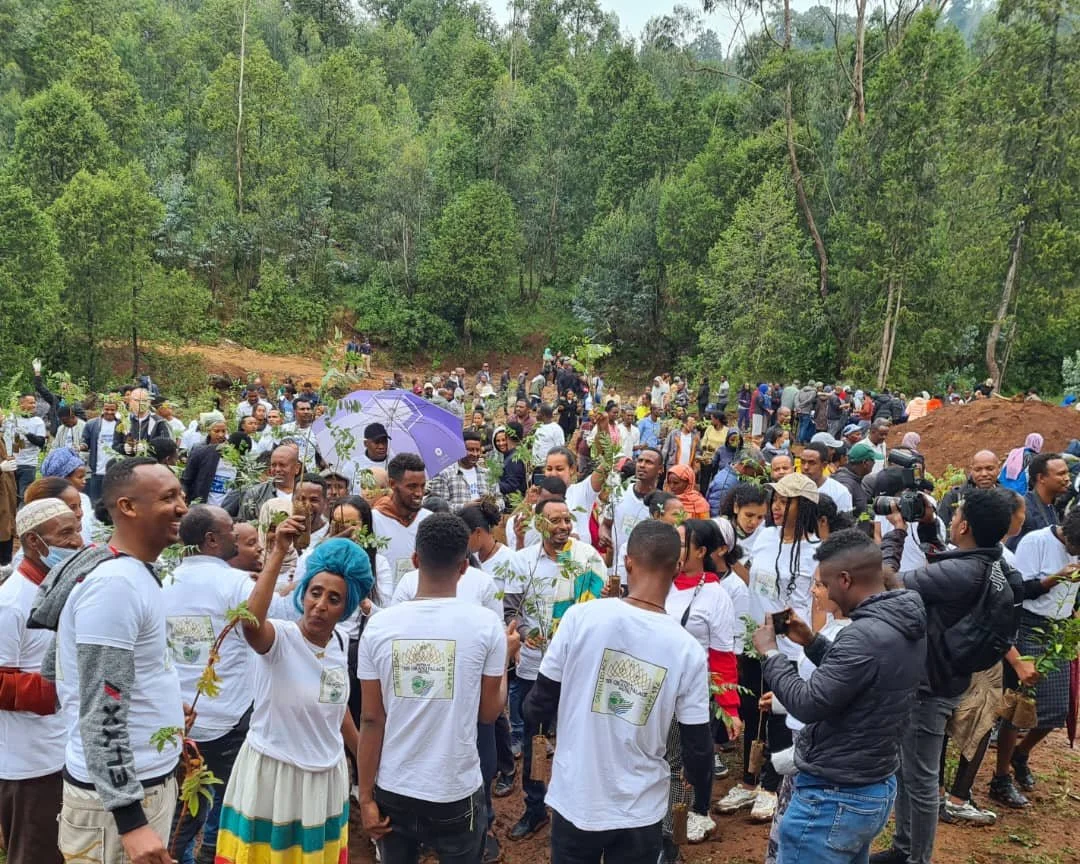 Community members gathered at Entoto Natural Park for a large-scale tree planting and environmental restoration event.