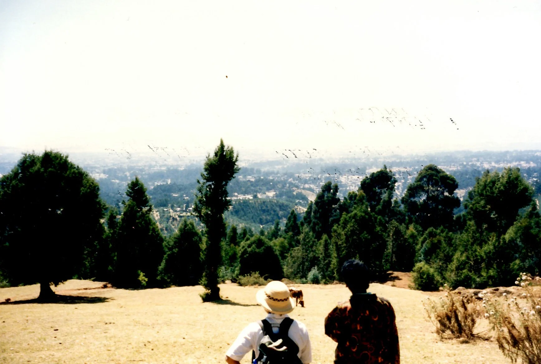 View from Entoto overlooking Addis Ababa before large-scale restoration efforts, showing a degraded landscape with sparse vegetation.
