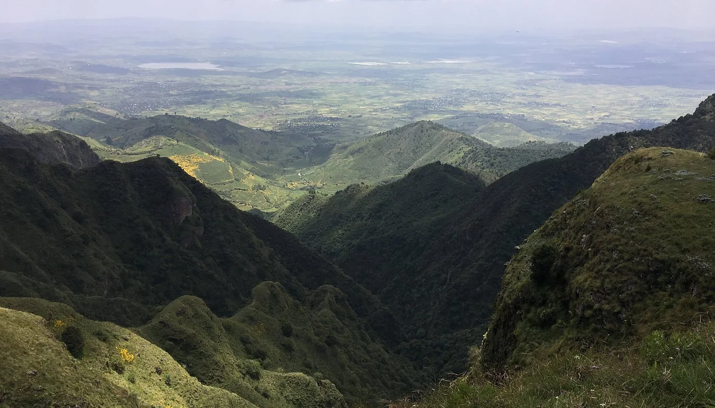 Mountain landscape on Mount Yerer, Ethiopia, where native forest restoration supports biodiversity and watershed protection.
