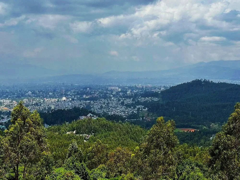 Panoramic view of Addis Ababa surrounded by hills and urban forest, illustrating the city's close connection to nature.