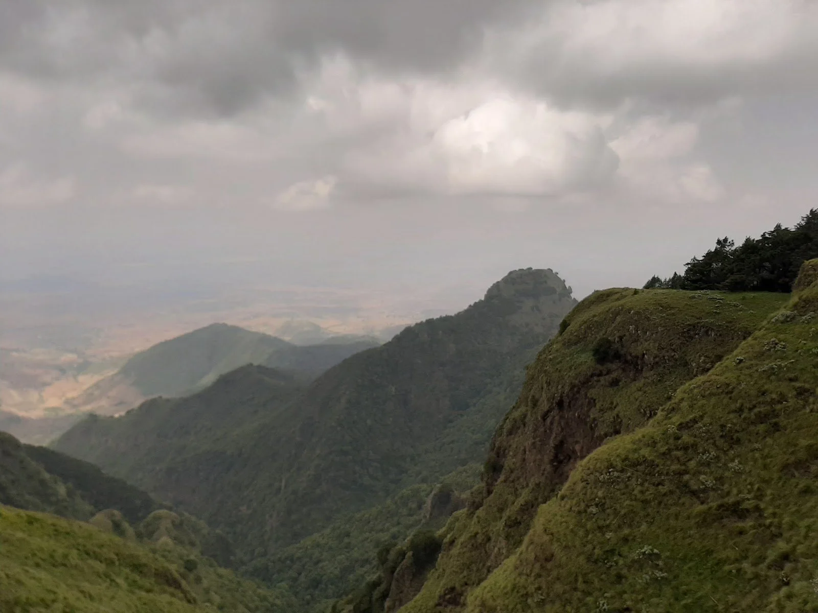 Mountain landscape on Mount Yerer, Ethiopia, where native forest restoration supports biodiversity and watershed protection.