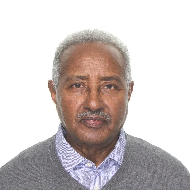 Portrait of Dr Negusse Tewoldemedhin
