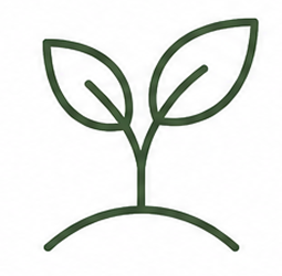 Simple line drawing of a young plant with two leaves growing from the ground.