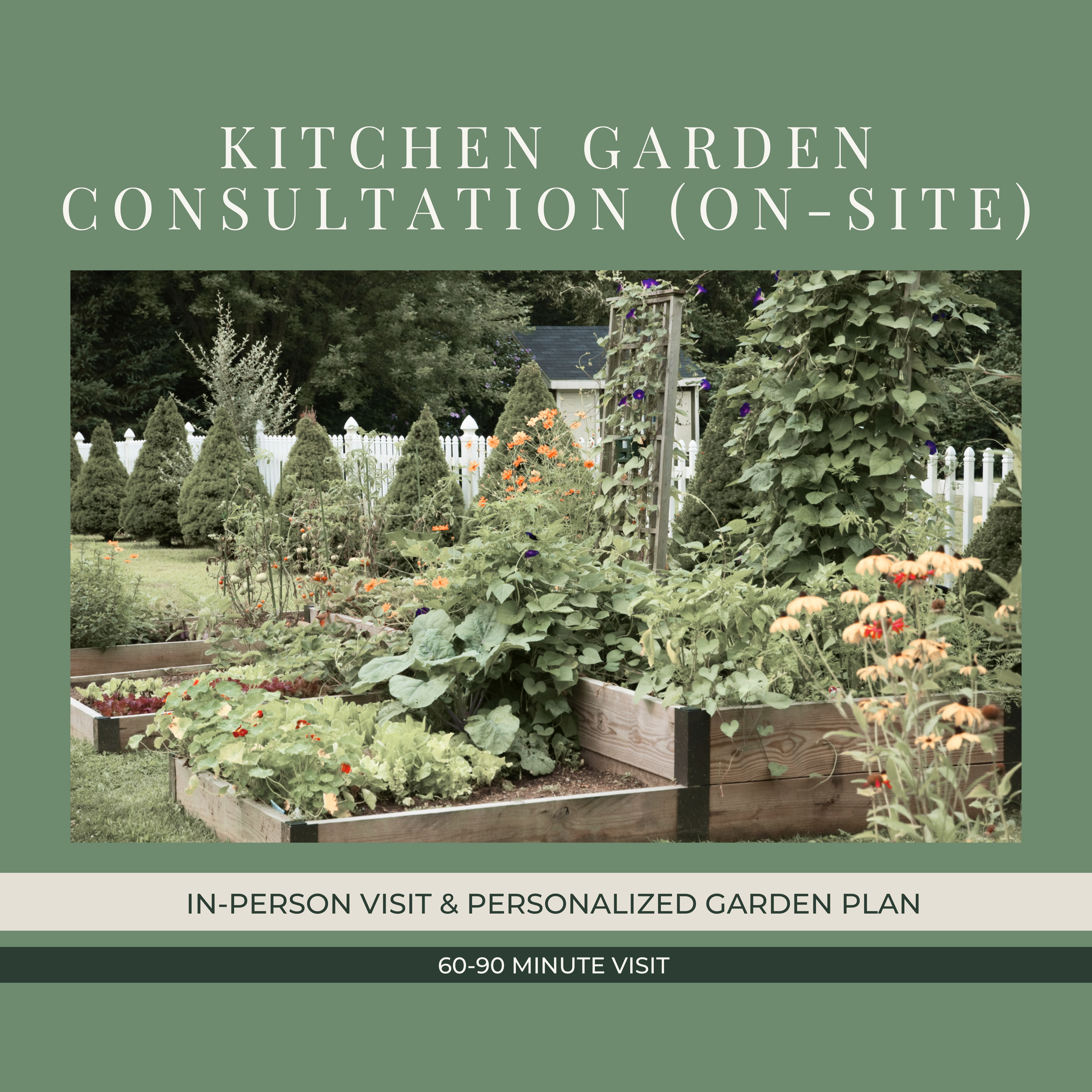 Kitchen Garden Consultation (On-Site)