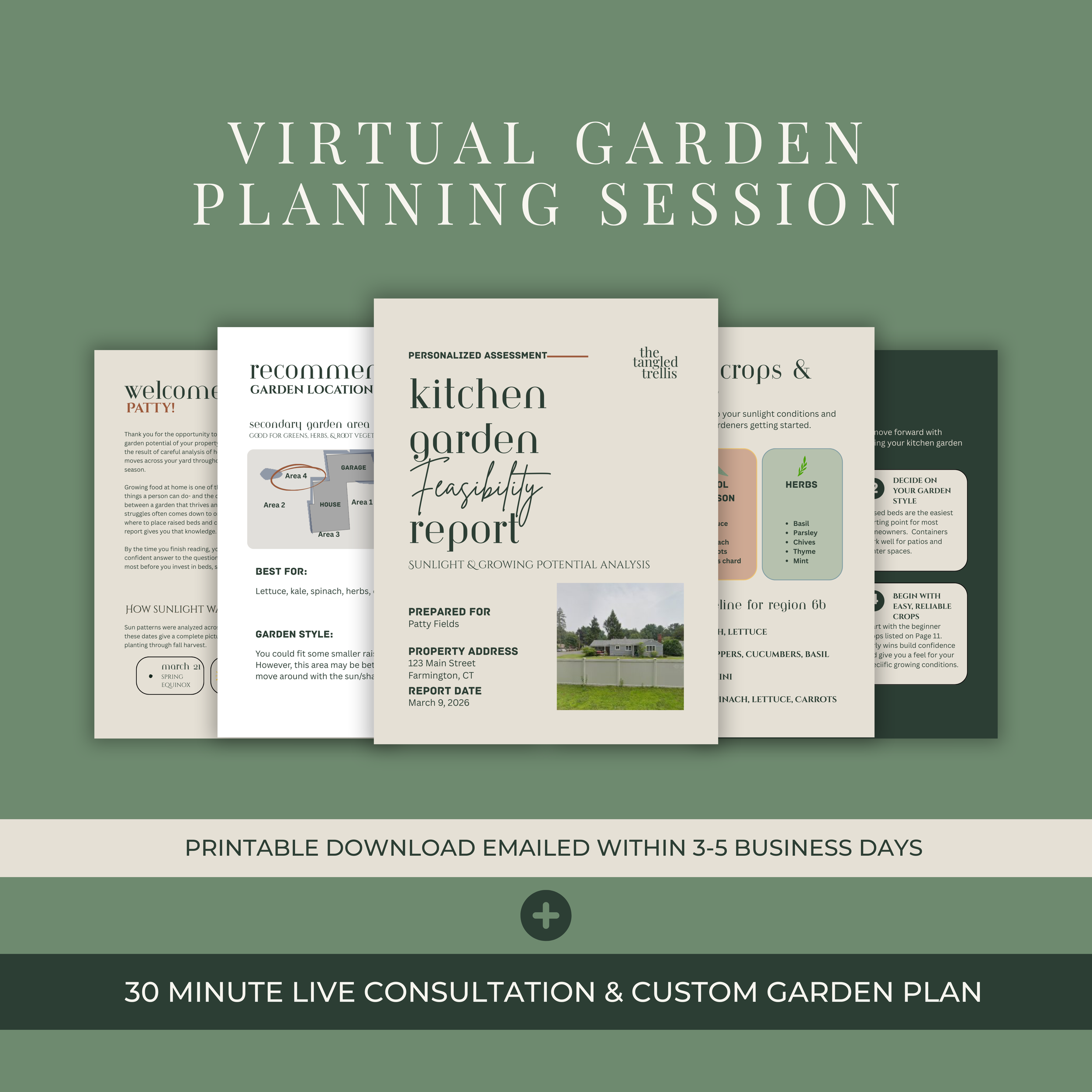 Virtual Garden Planning Session