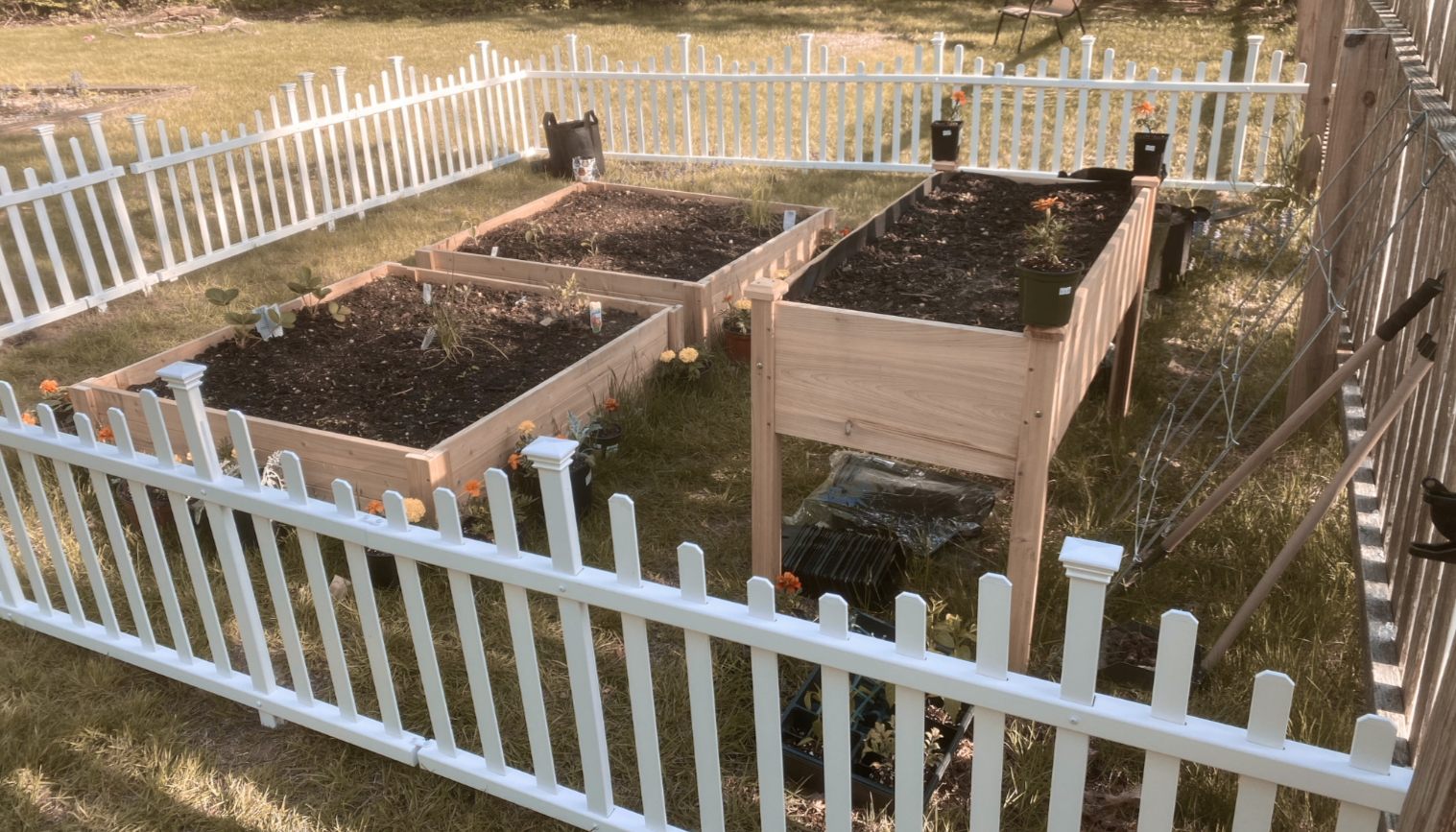 Garden beds in partial shade