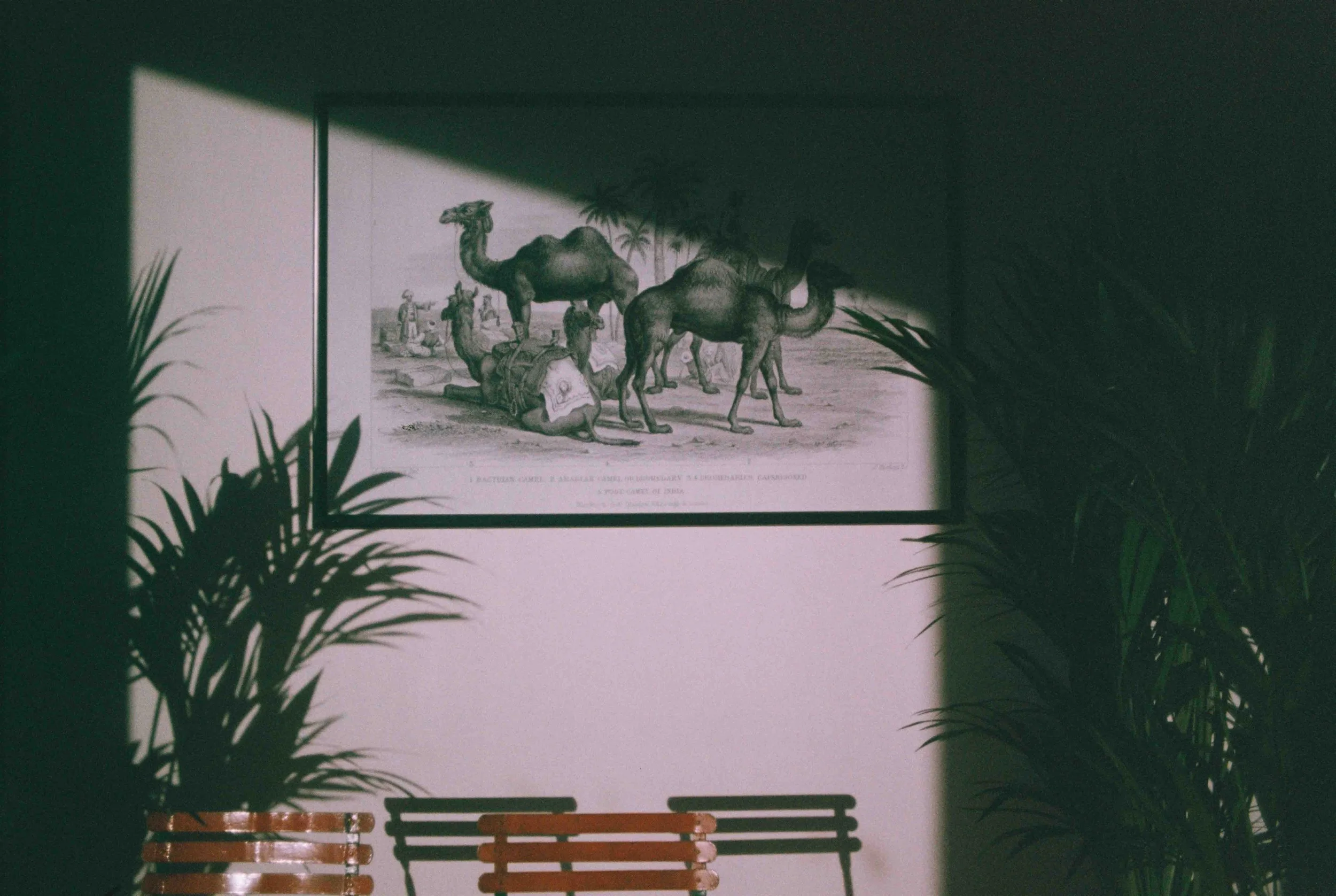 Almaty peak exhibition -6.jpg