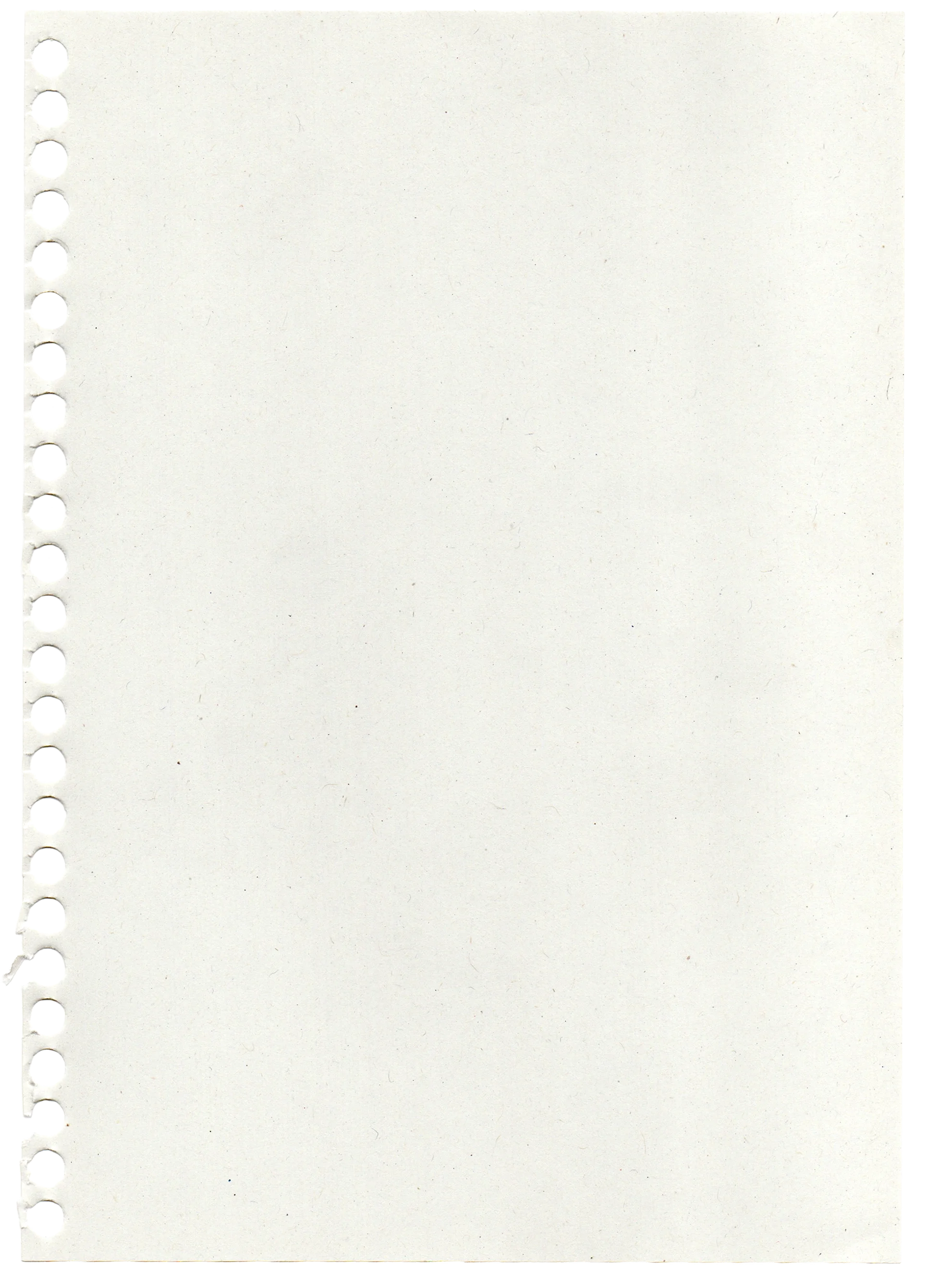 Page de cahier ou de bloc-notes vierge avec perforations sur le côté gauche.