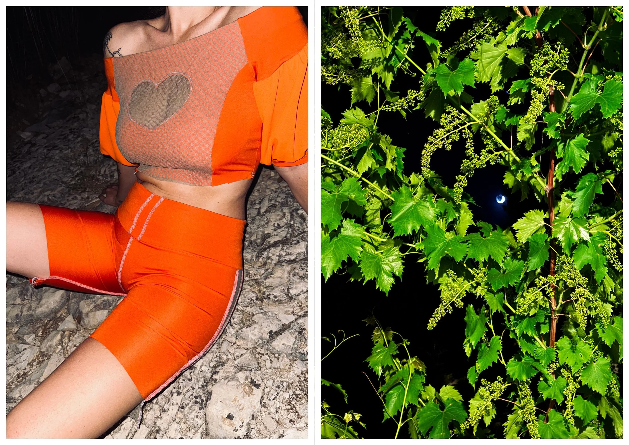 Photo d'une femme portant une tenue orange assise sur un sol rocheux à gauche, et une riche végétation de feuilles de vigne avec des grappes de raisin verte sous la lumière de la lune à droite.