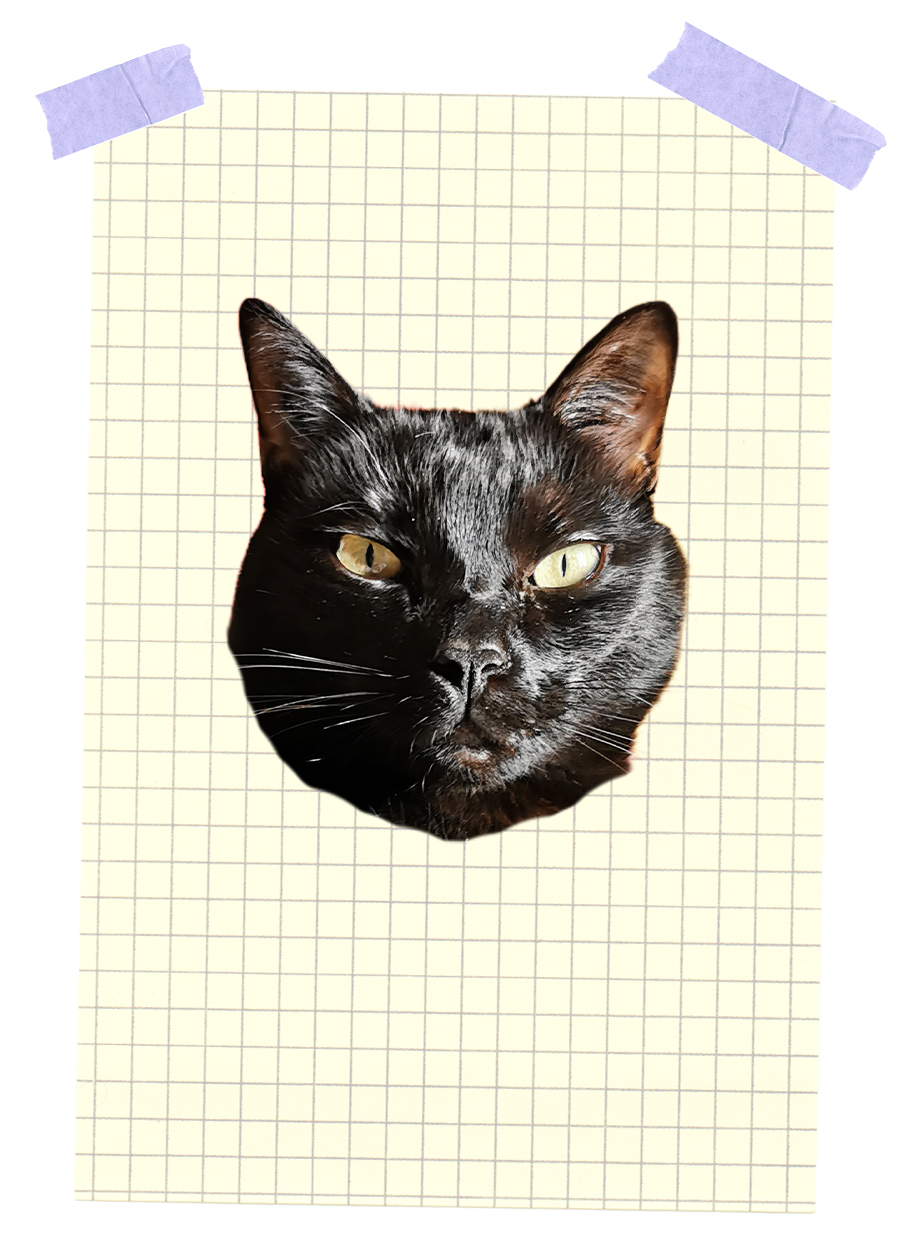 Un dessin géométrique d’un carré dont les sections sont divisées par des lignes verticales, horizontales et diagonales.