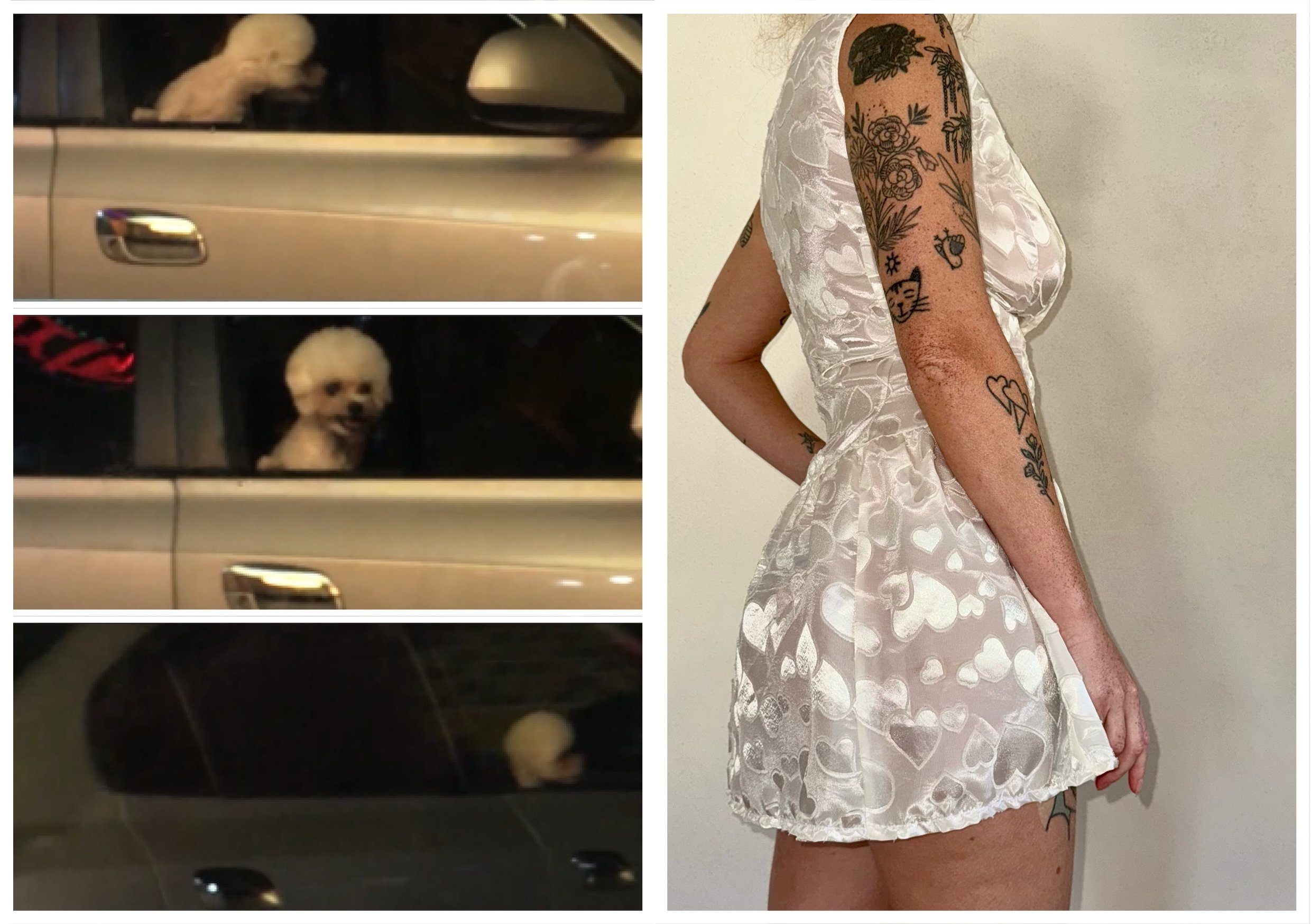 Trois photos d'un chien blanc regardant à travers différentes fenêtres de voiture, à gauche, et une femme avec des tatouages portant une robe blanche en satin avec des motifs de cœurs en dentelle, à droite.