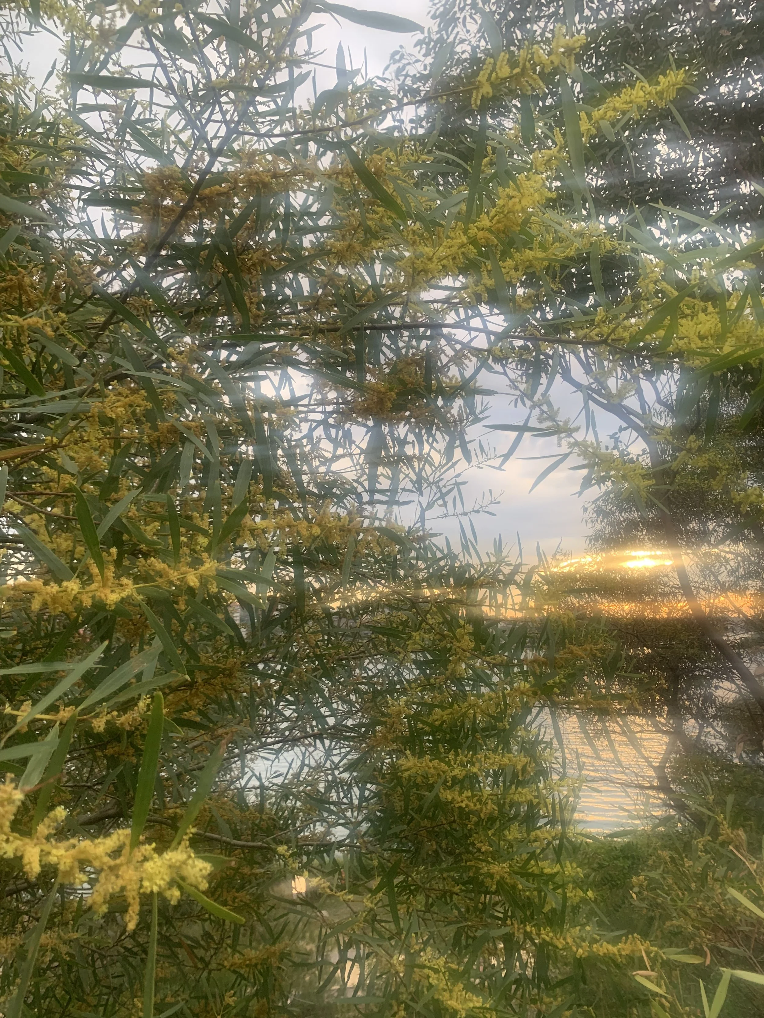 Le Presque