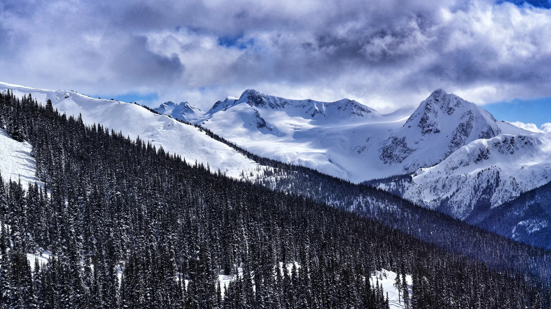 whistler-blackcomb_maisneve-06.webp