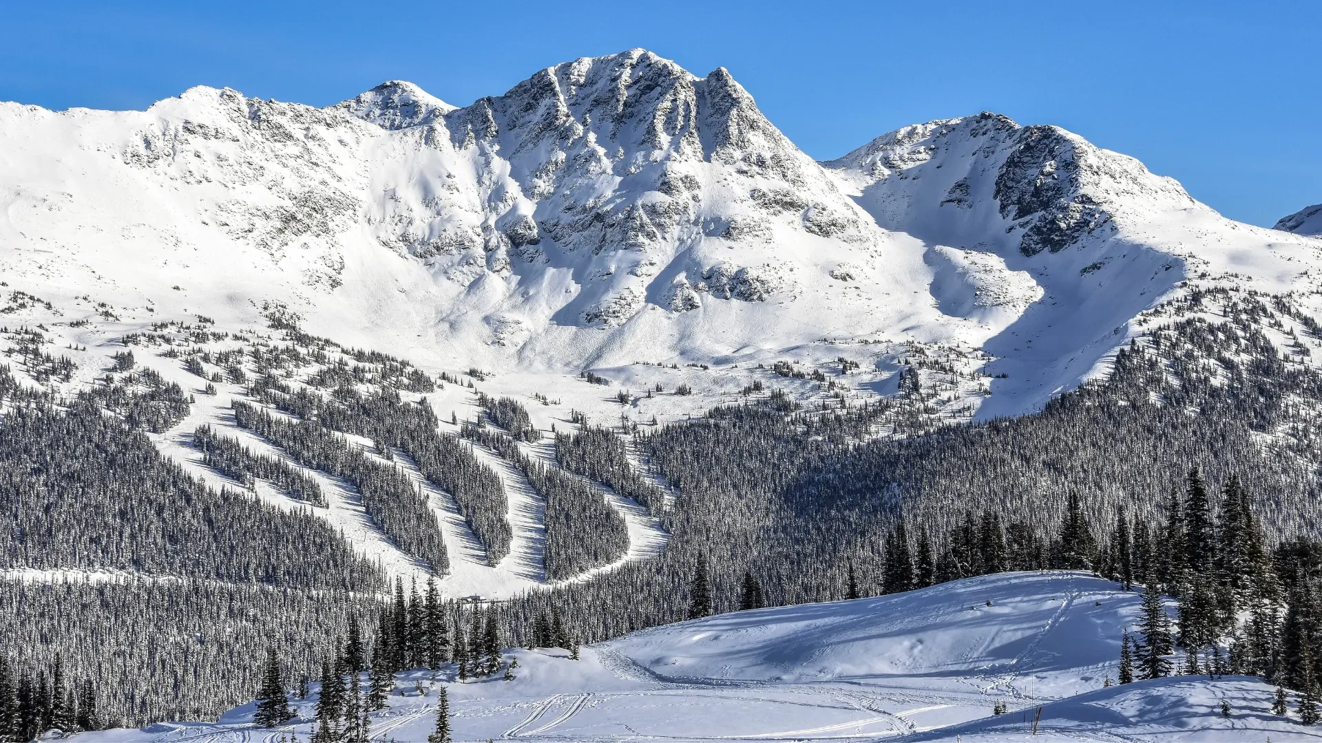 whistler-blackcomb_maisneve-01.webp