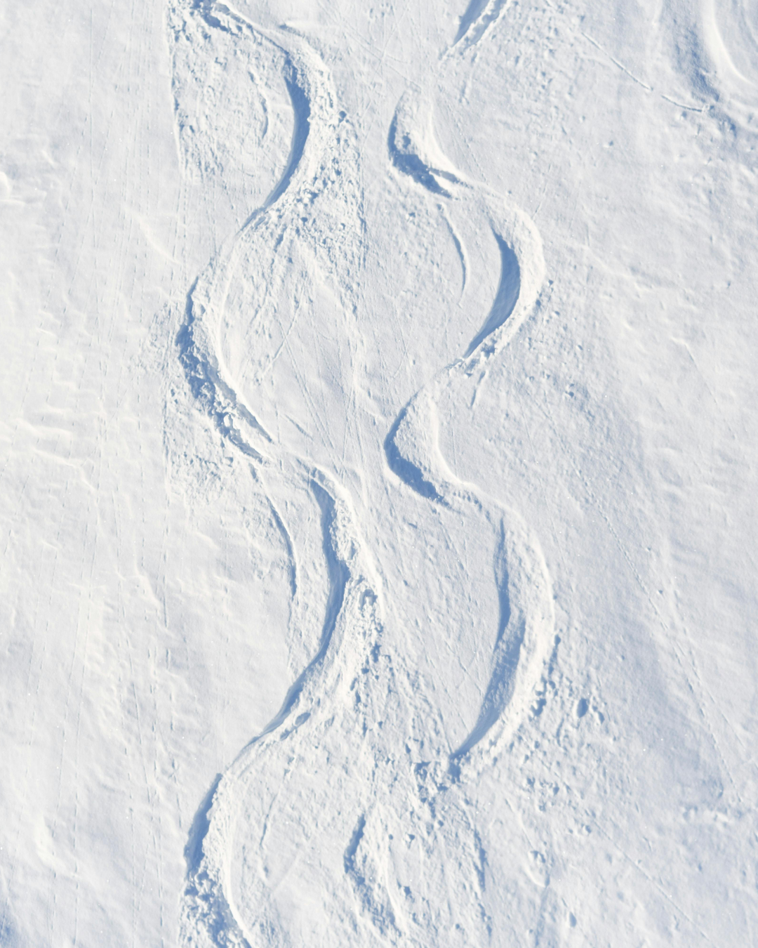 Multiple snow tracks on a snow-covered surface.