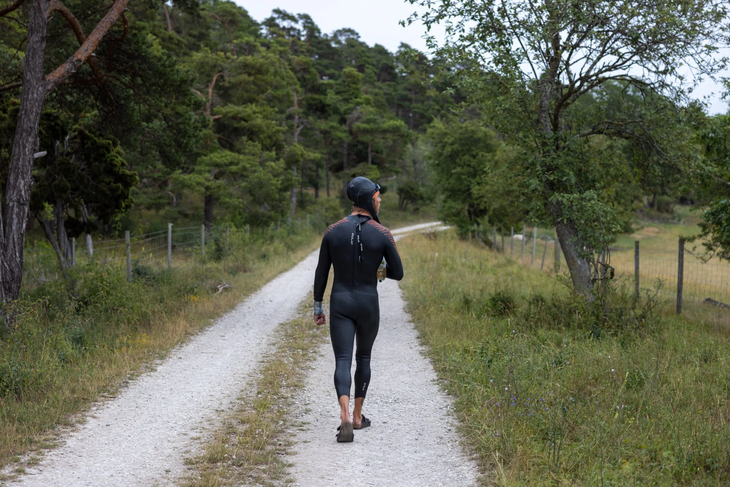 Plan My Own Adventure