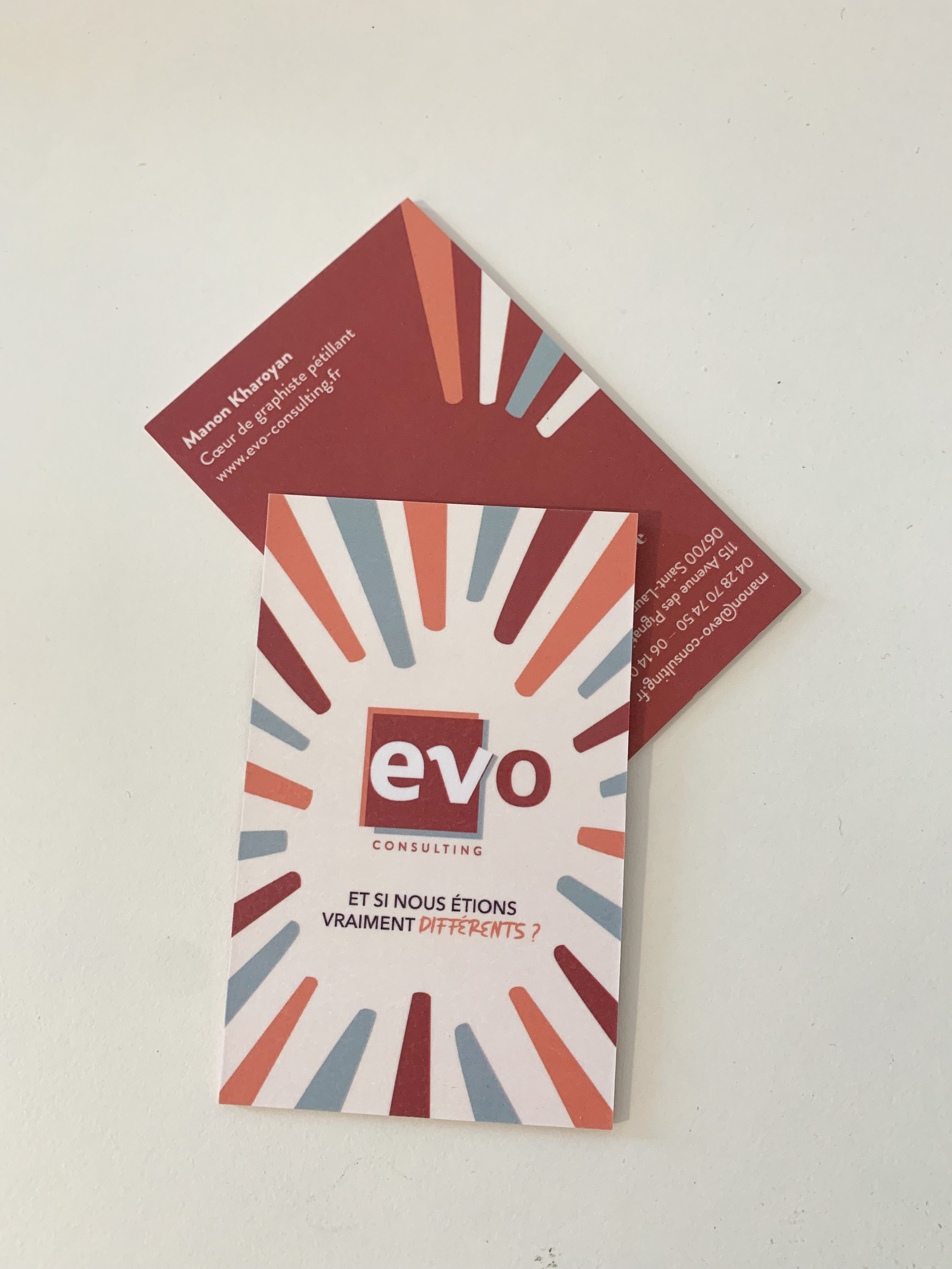identite_visuelle_evo_cdv.jpg