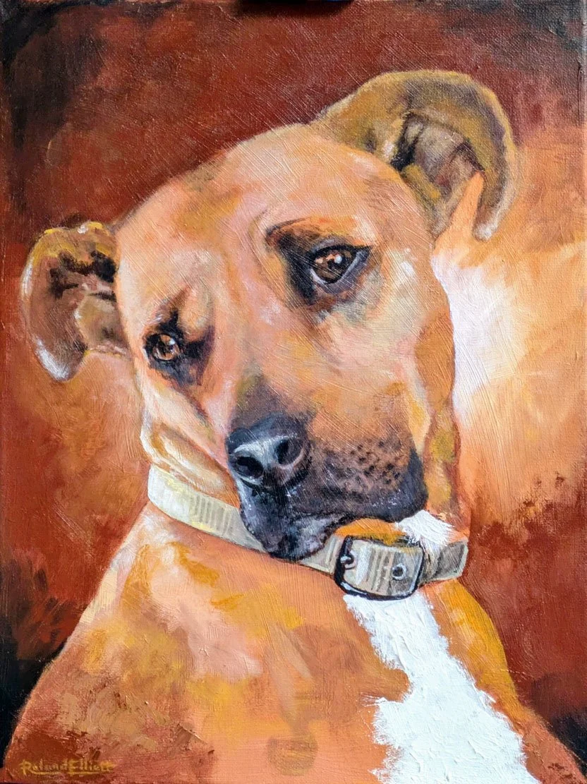 Nahler, a beautiful gentle old lady, mainly Staffy.