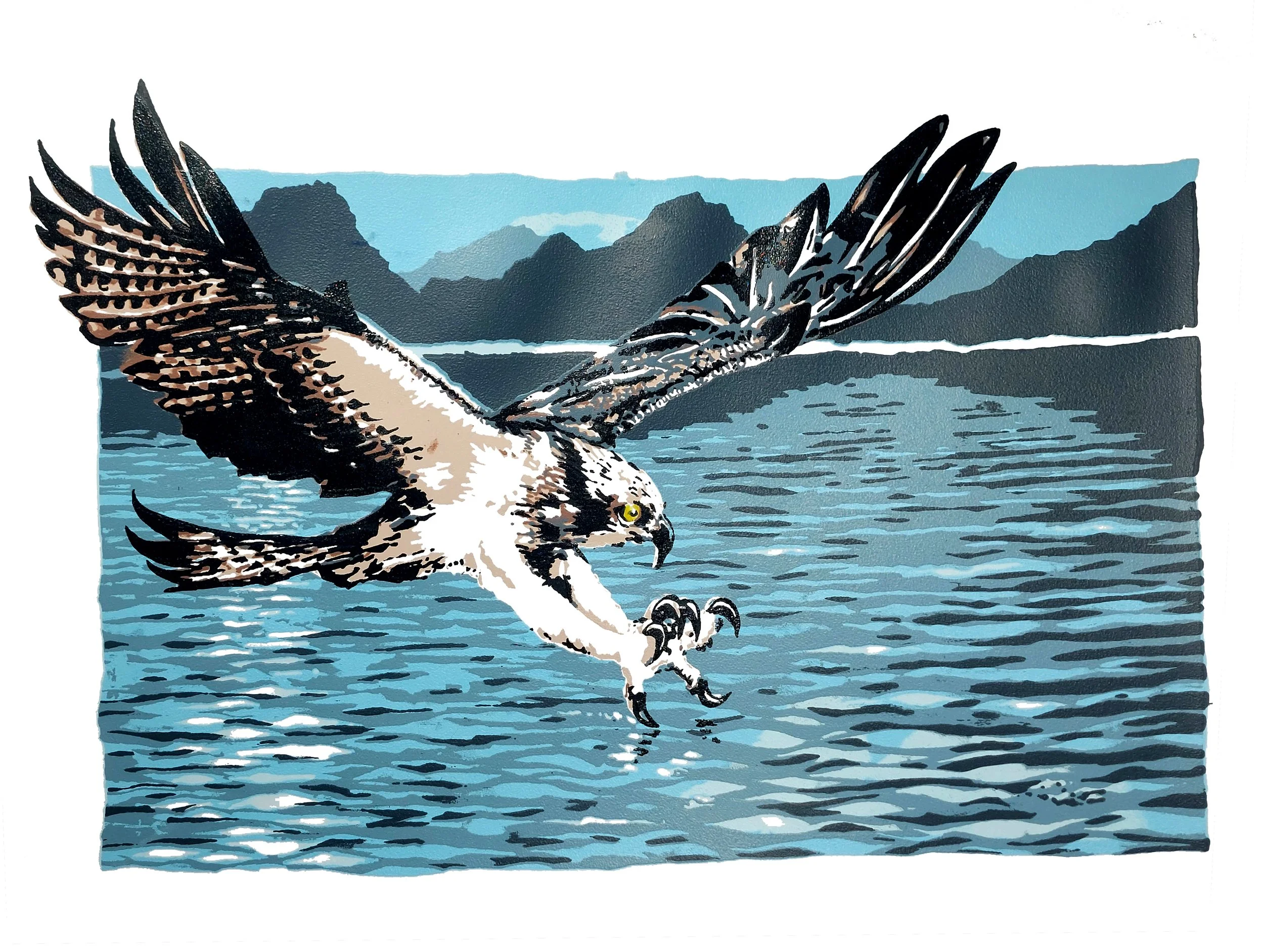 An illustration of two ospreys diving into water with mountains in the background.