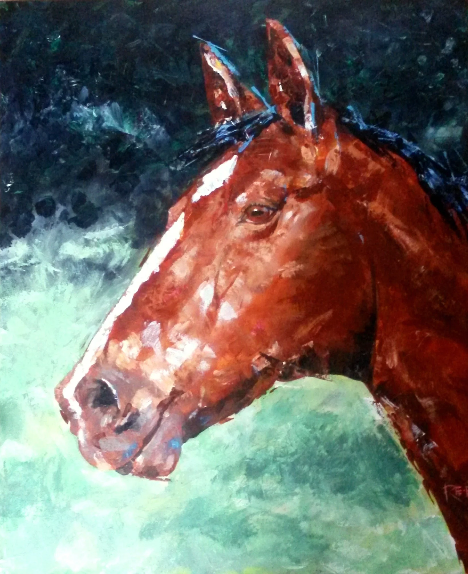 Portrait of Del Boy, a training horse.