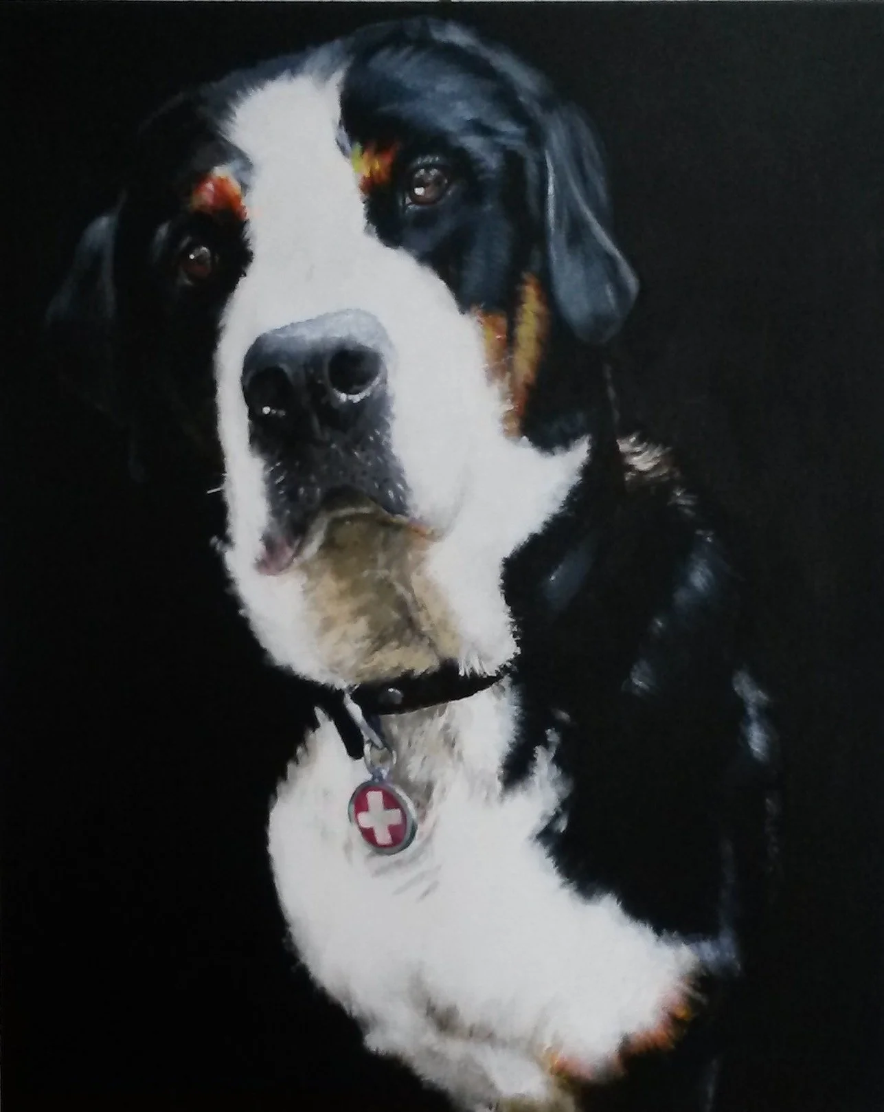This is my dog, 'Roux' a huge Greater Swiss Mountain Dog. So gentle, a real pal.