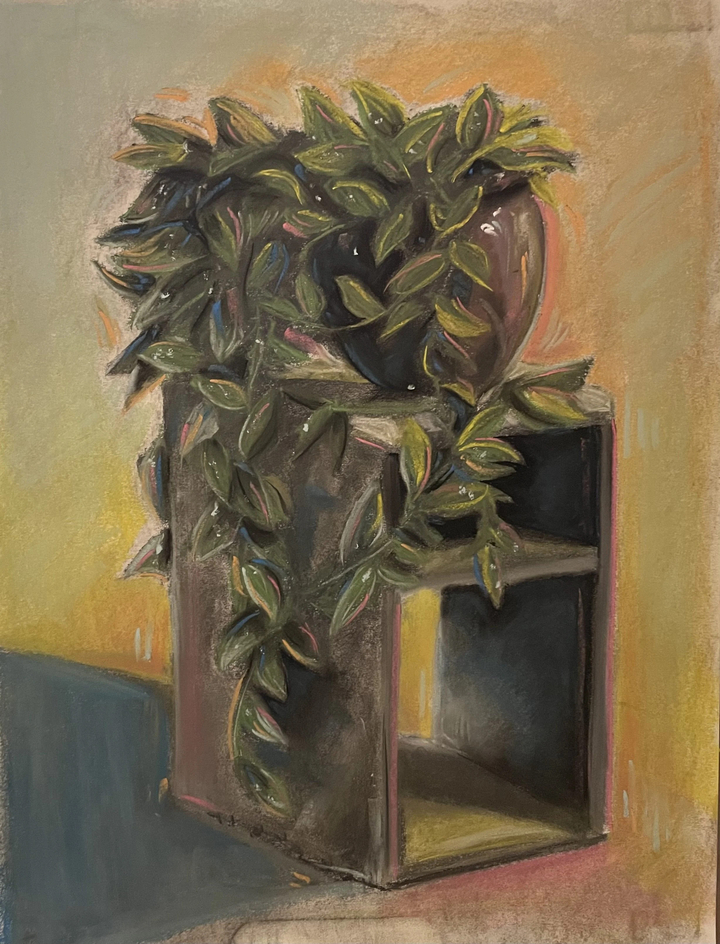 Plant on Wooden Table