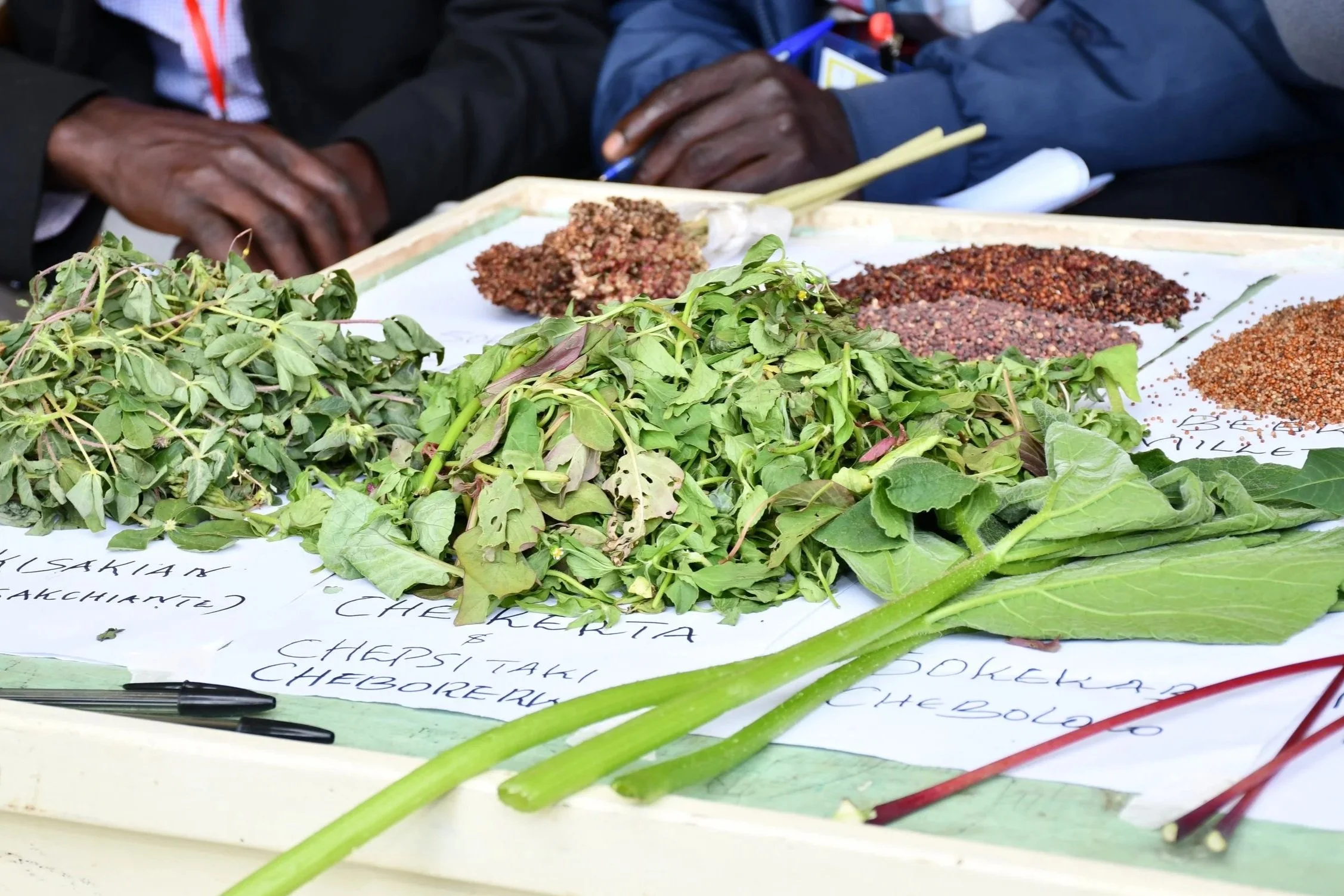 A display of various fresh herbs and spices on a table, with handwritten labels. The herbs include coriander and other leafy greens, and the spices are in small piles behind the herbs.