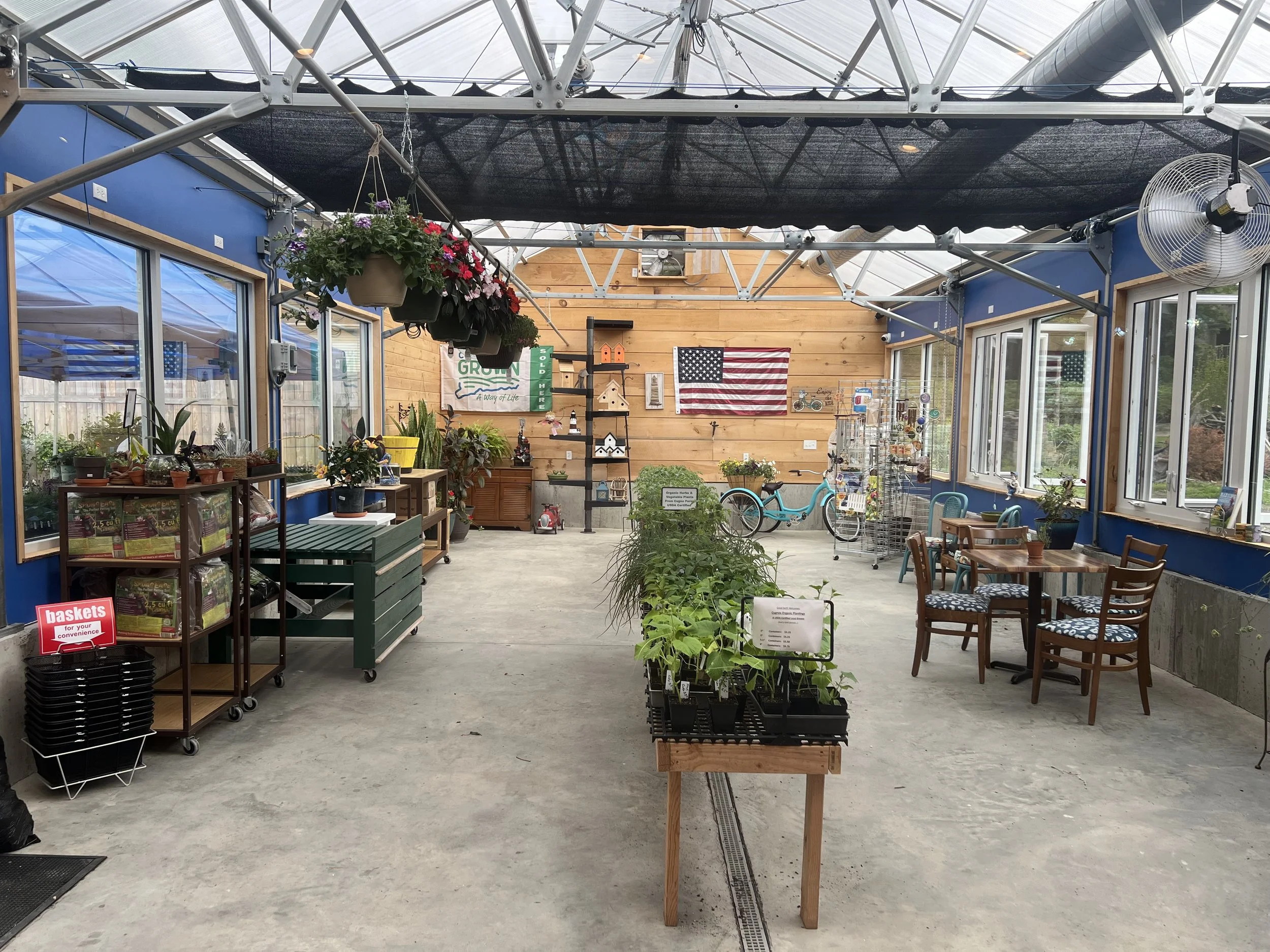 A greenhouse interior filled with plants, gardening items, and outdoor furniture, with American flag wall hanging, hanging flower baskets, and various potted plants on shelves.