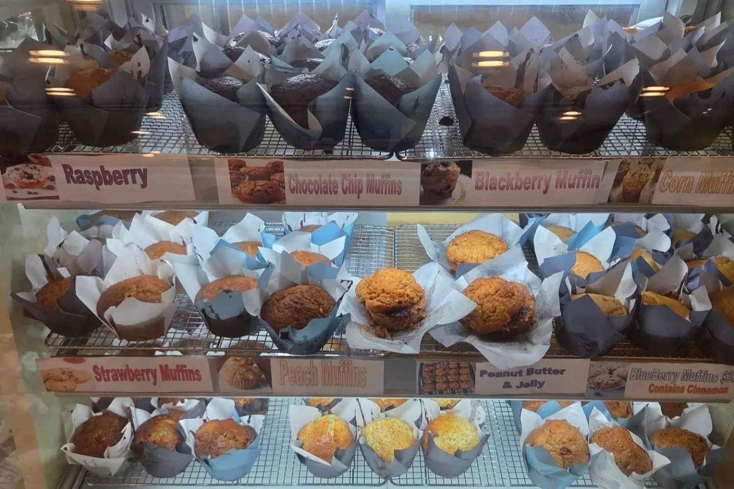 Display case with assorted muffins, including raspberry, blueberry, strawberry, peach, and chocolate chip, each in individual paper liners on metal racks.