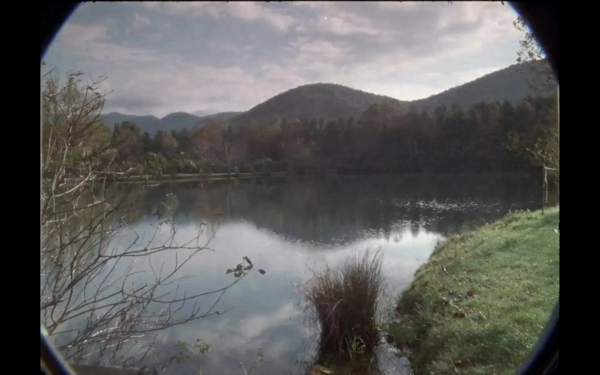 Hero_5mbps_Pond_No_Transition_Fallback.jpg