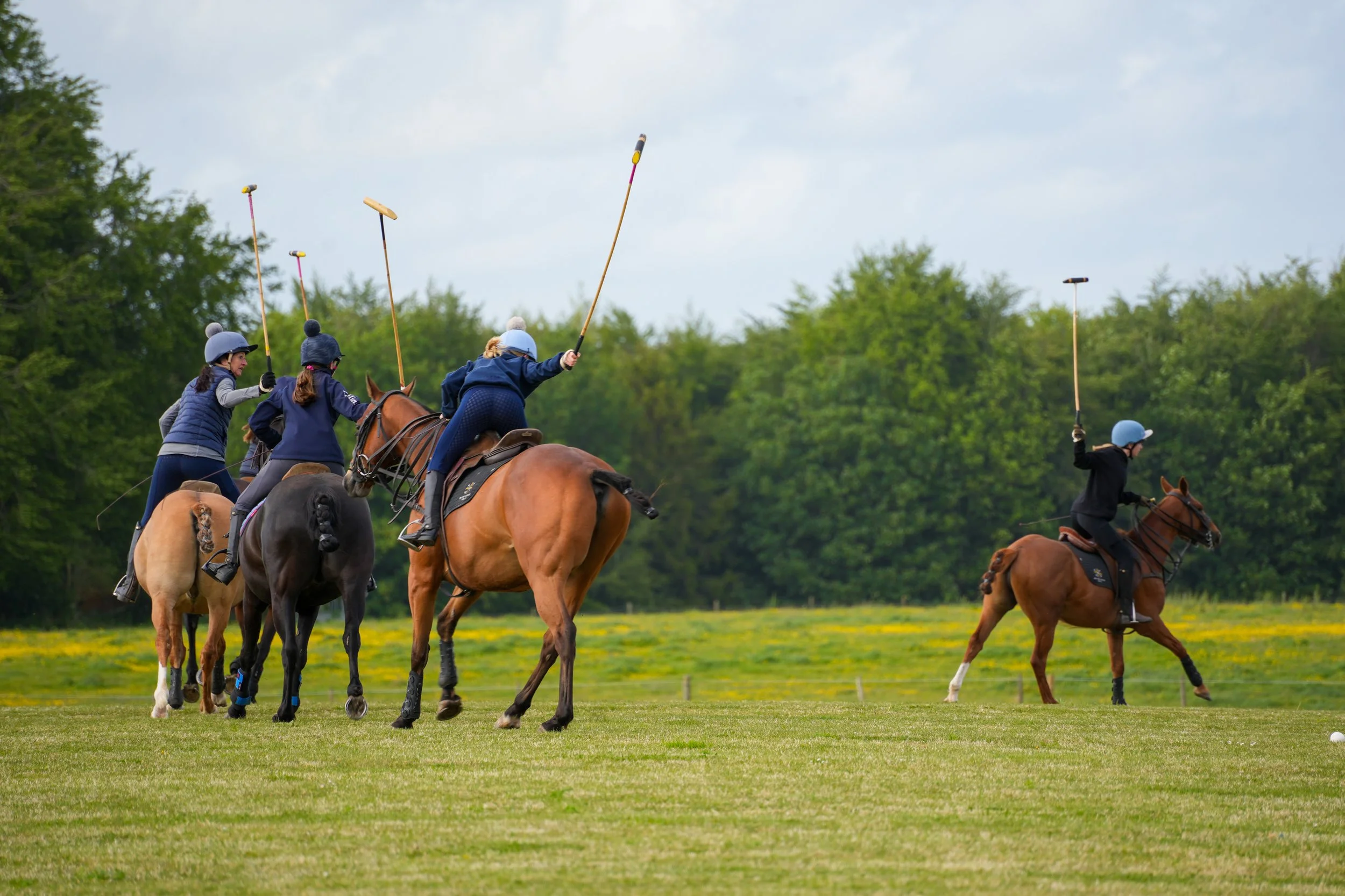 Group of people riding horses and practicing polo on a grassy field with trees in the background.