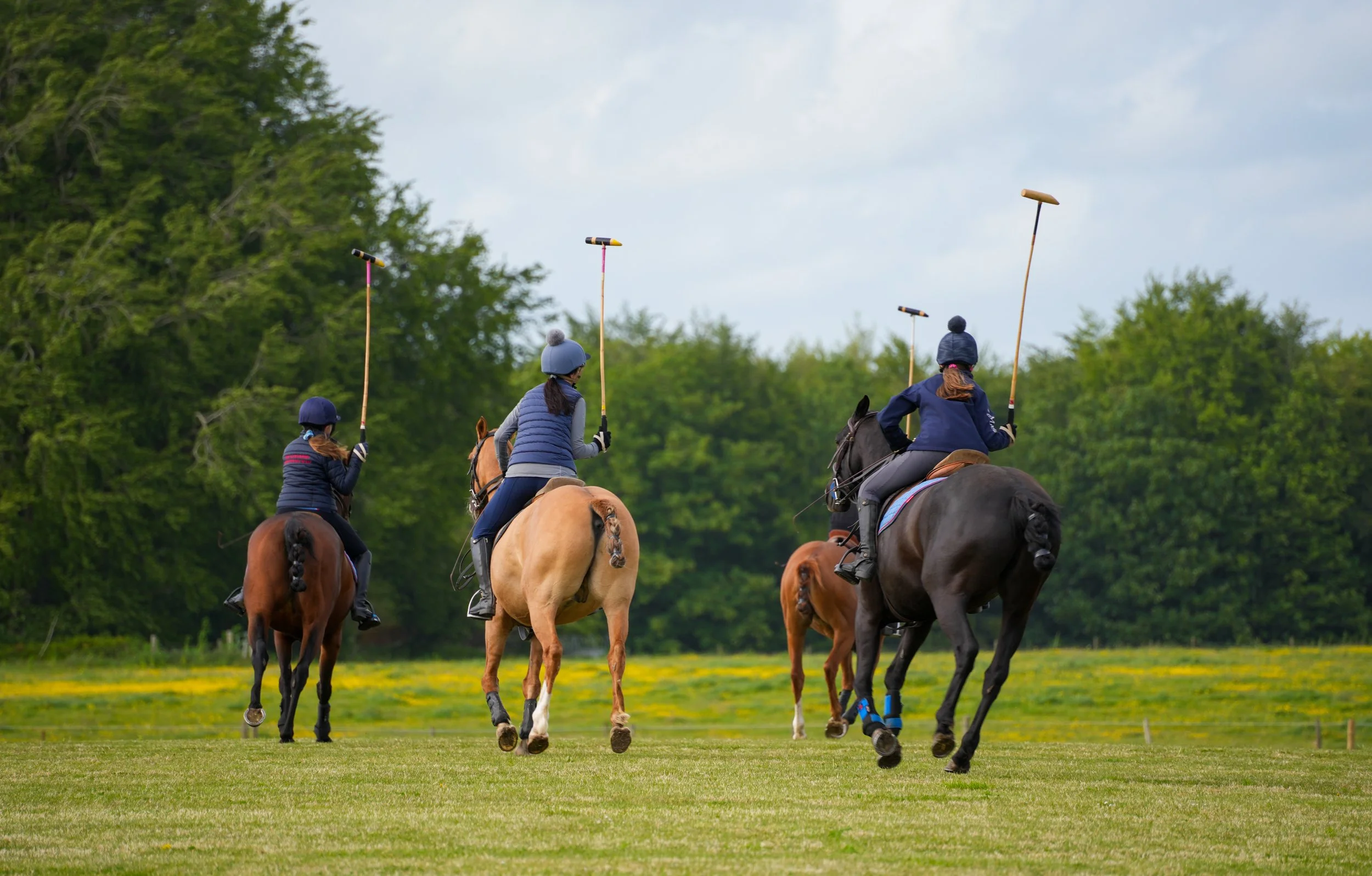 Four people riding horses on a grassy field, each holding a polo mallet, with trees in the background and a cloudy sky above.