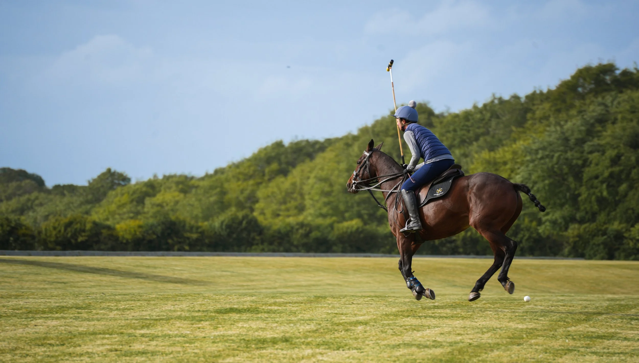 A polo player riding a galloping horse on a grassy field, preparing to hit a small white ball with a stick, with green trees and a partly cloudy sky in the background.