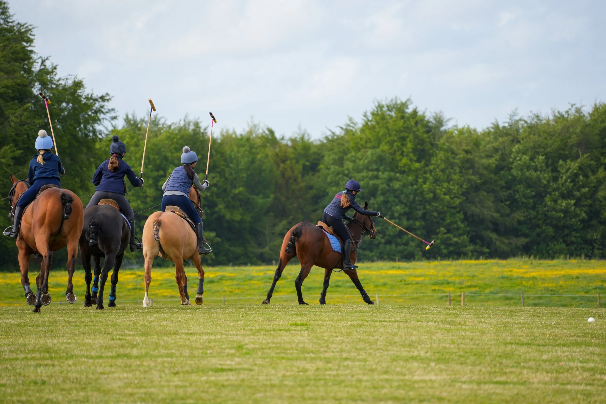 Group of women riding horses and playing polo on a grassy field with trees in the background.