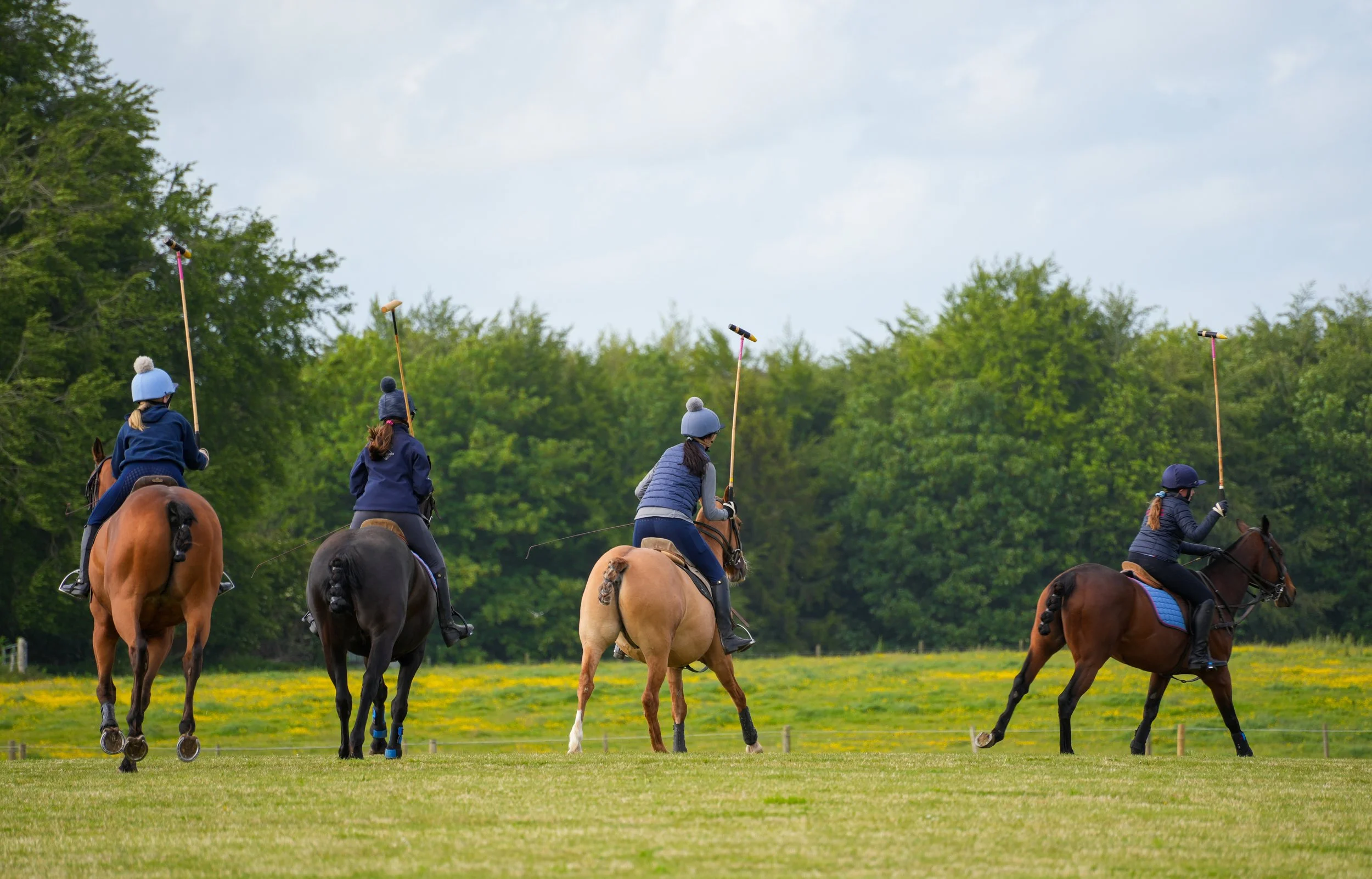 Group of people riding horses while participating in a polo game outdoors on a grassy field, with trees and cloudy sky in the background.