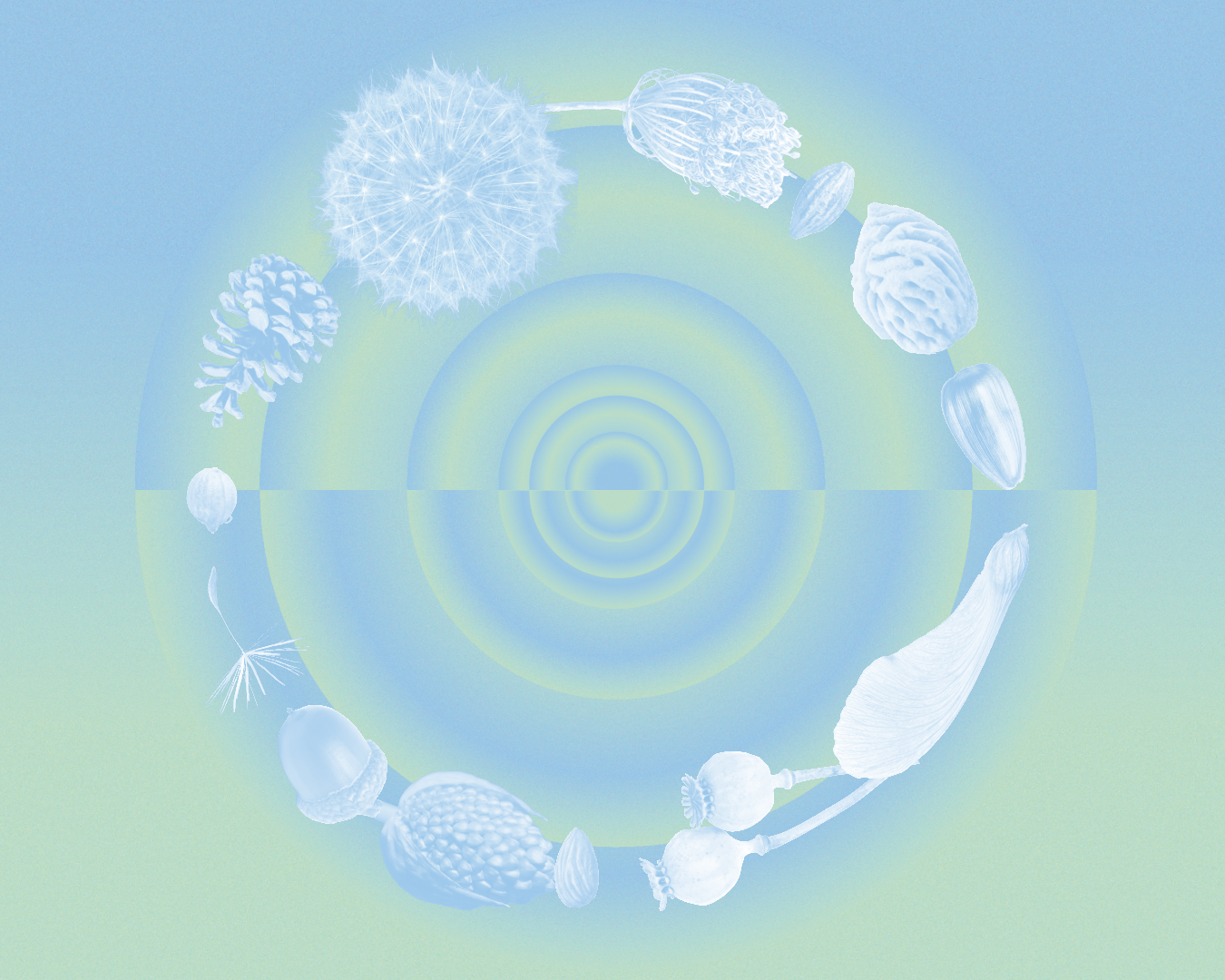 Collective Imagination Practice Community