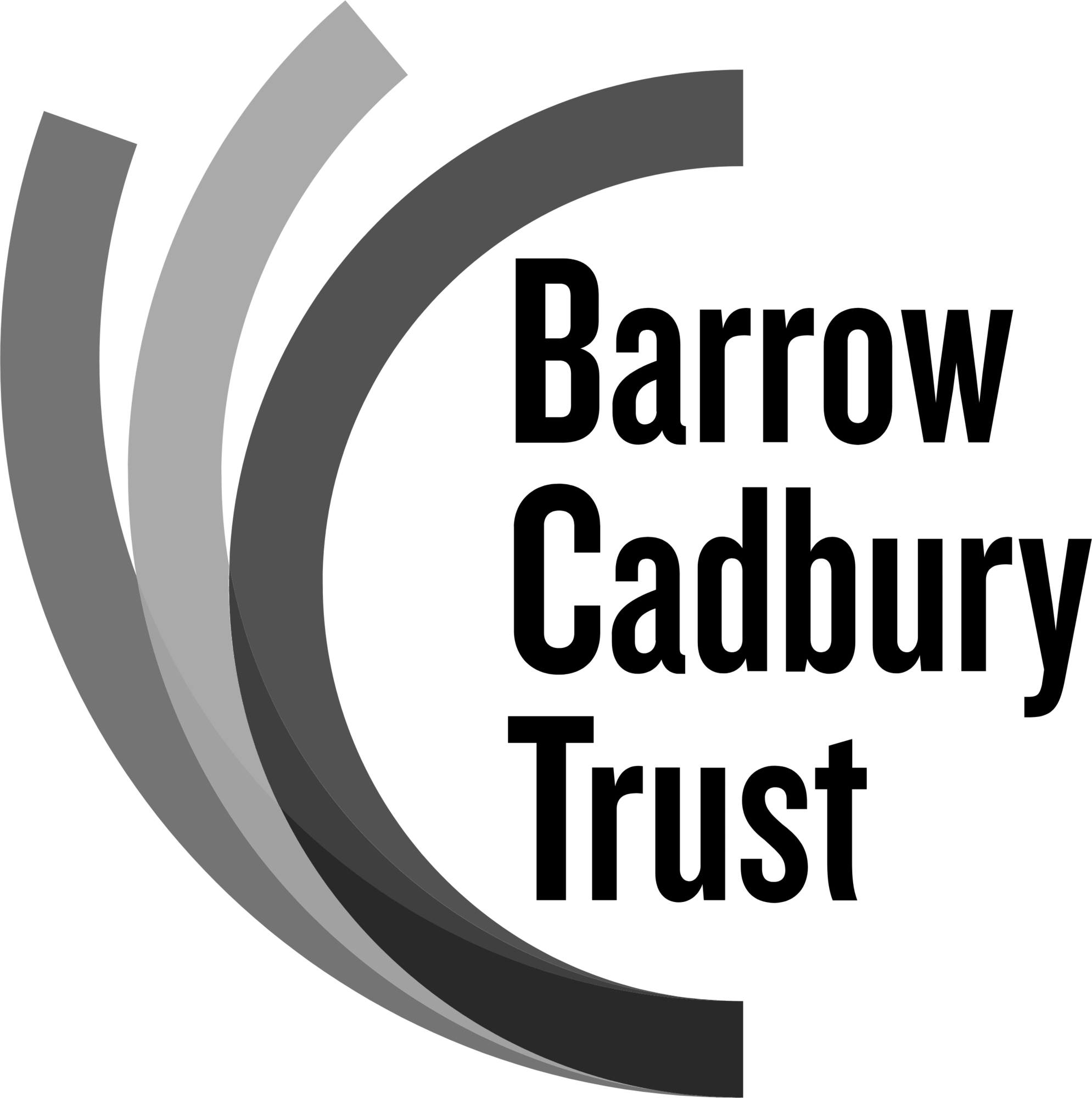 Collaborator and partners - barrow cadbury trust logo