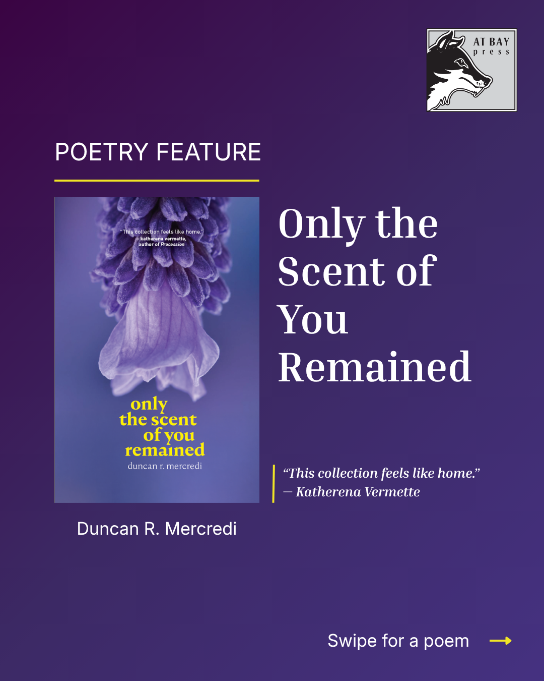 Only the Scent of You Remained cover and blurb