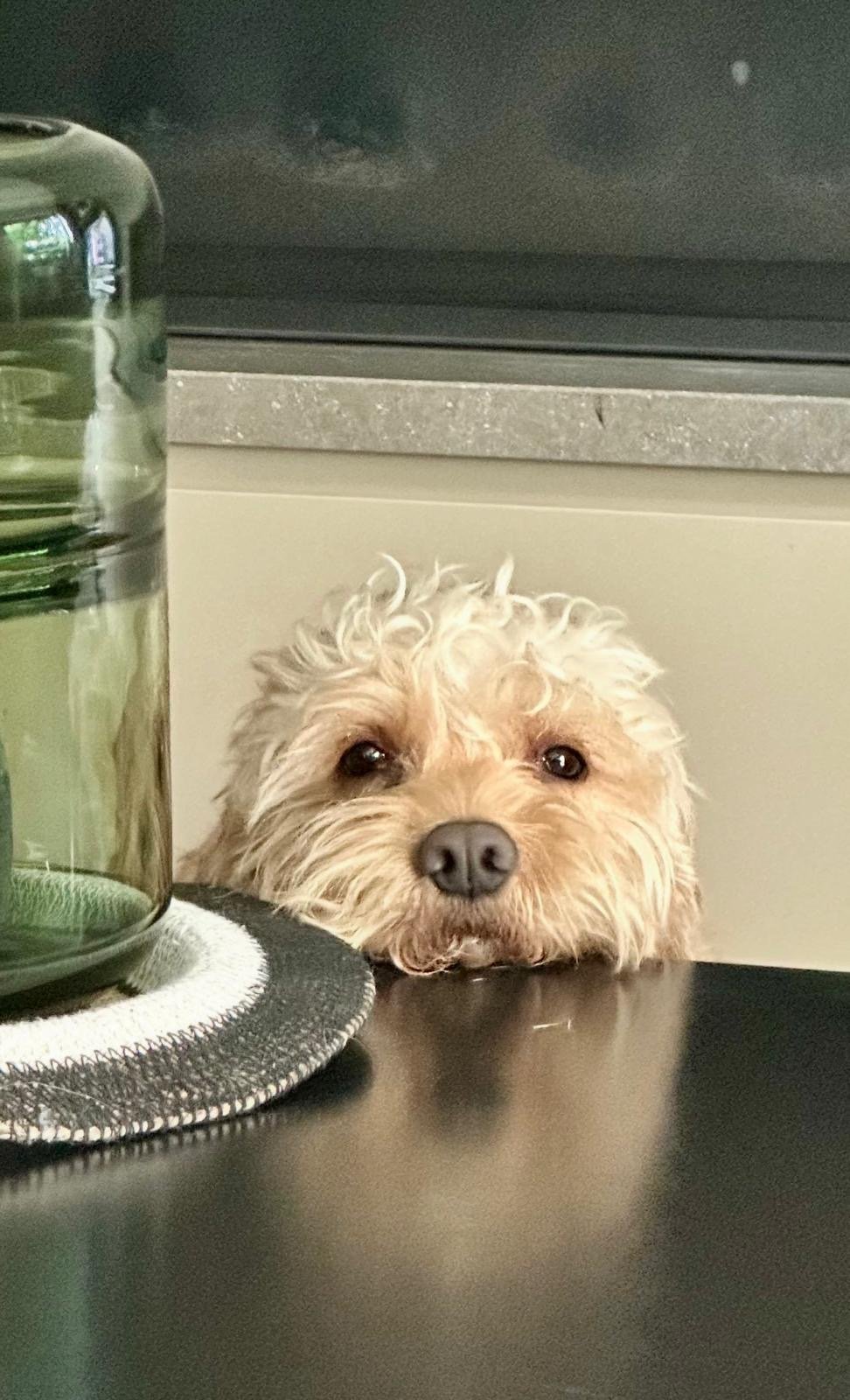 Wandelen zonder trekken