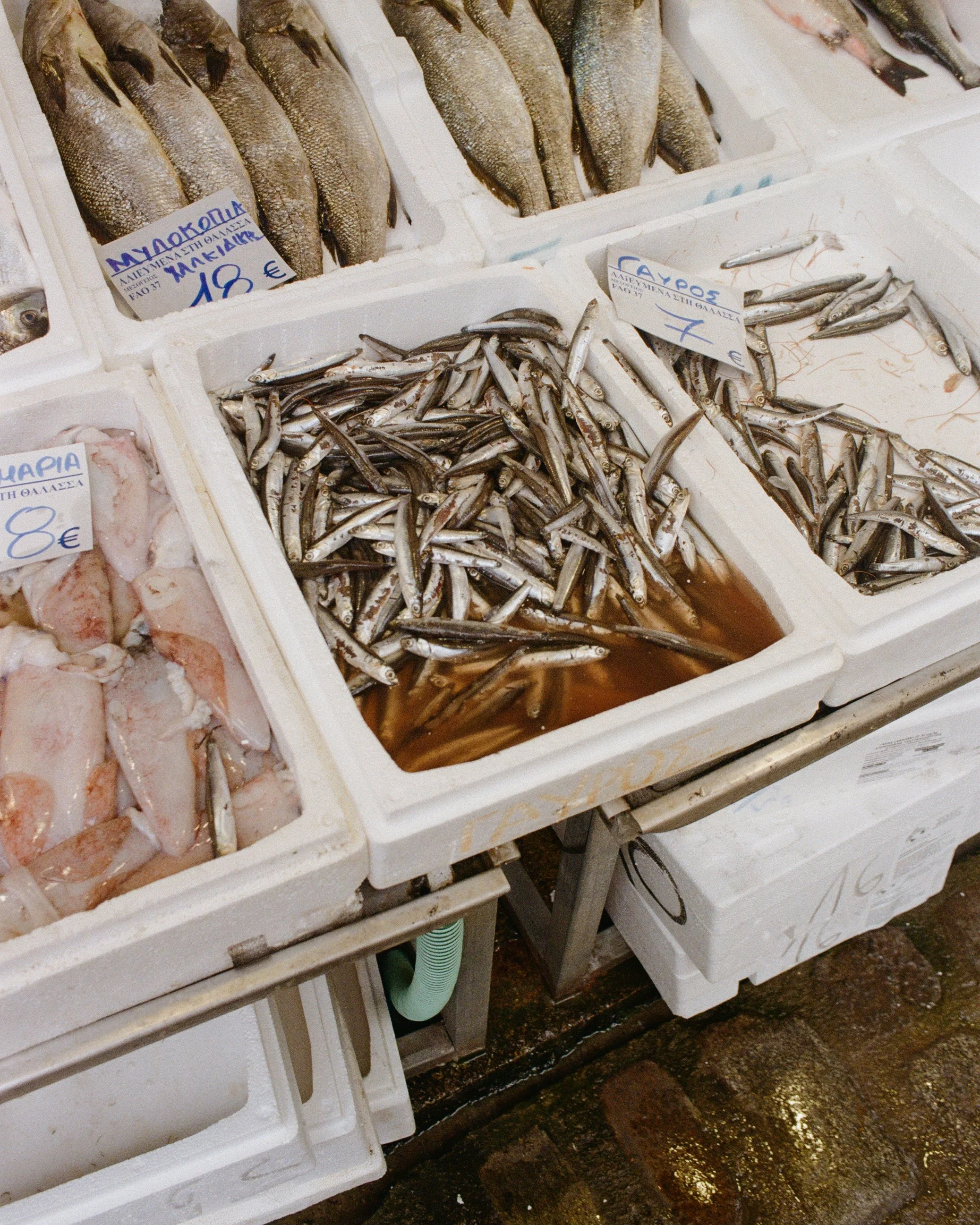 Thessaloniki_16.jpg