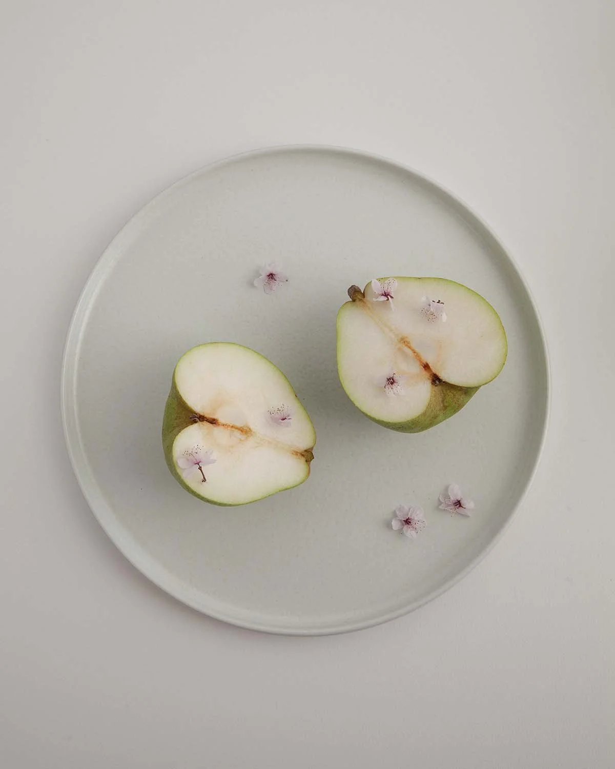 Still life photography pear with little pink flower on ceramic plate from Costa Nova