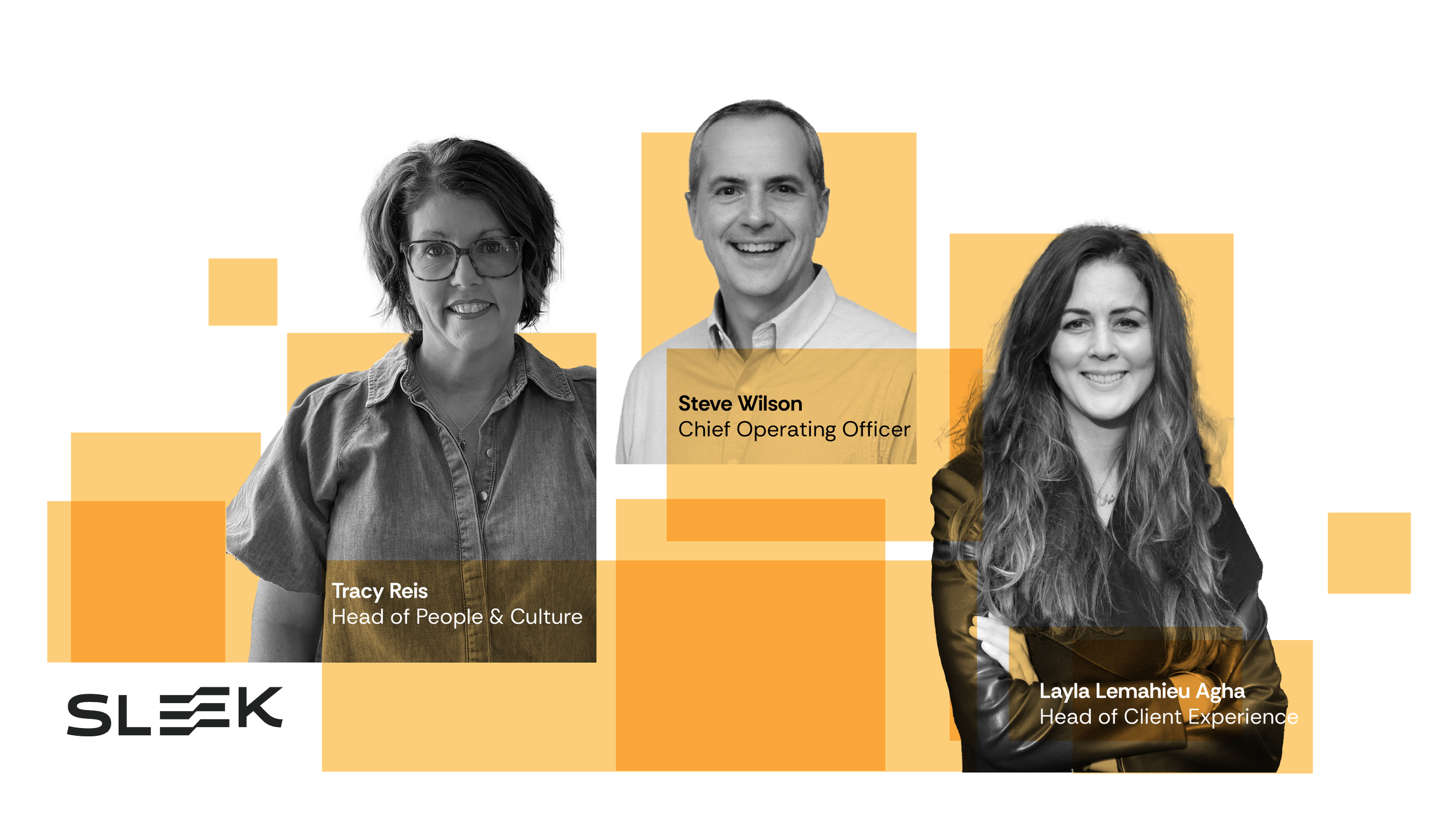 Sleek strengthens senior leadership team with three strategic appointments