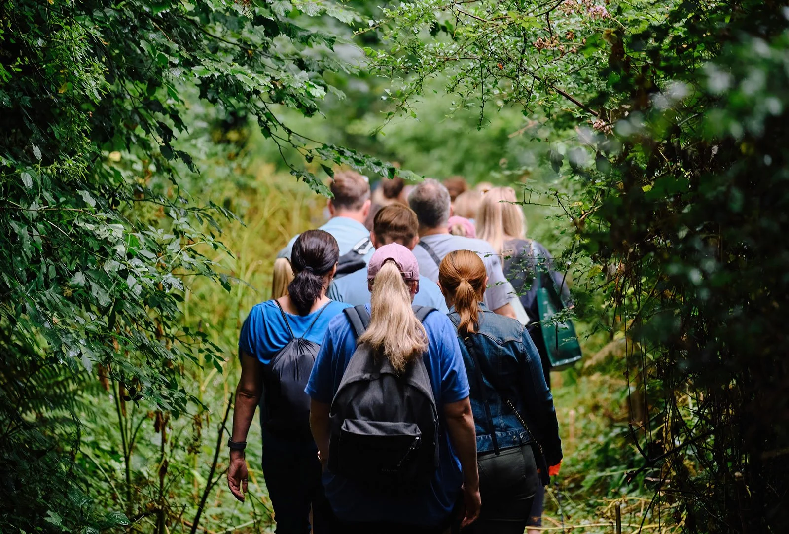 Group of people hiking through a lush green forest trail.