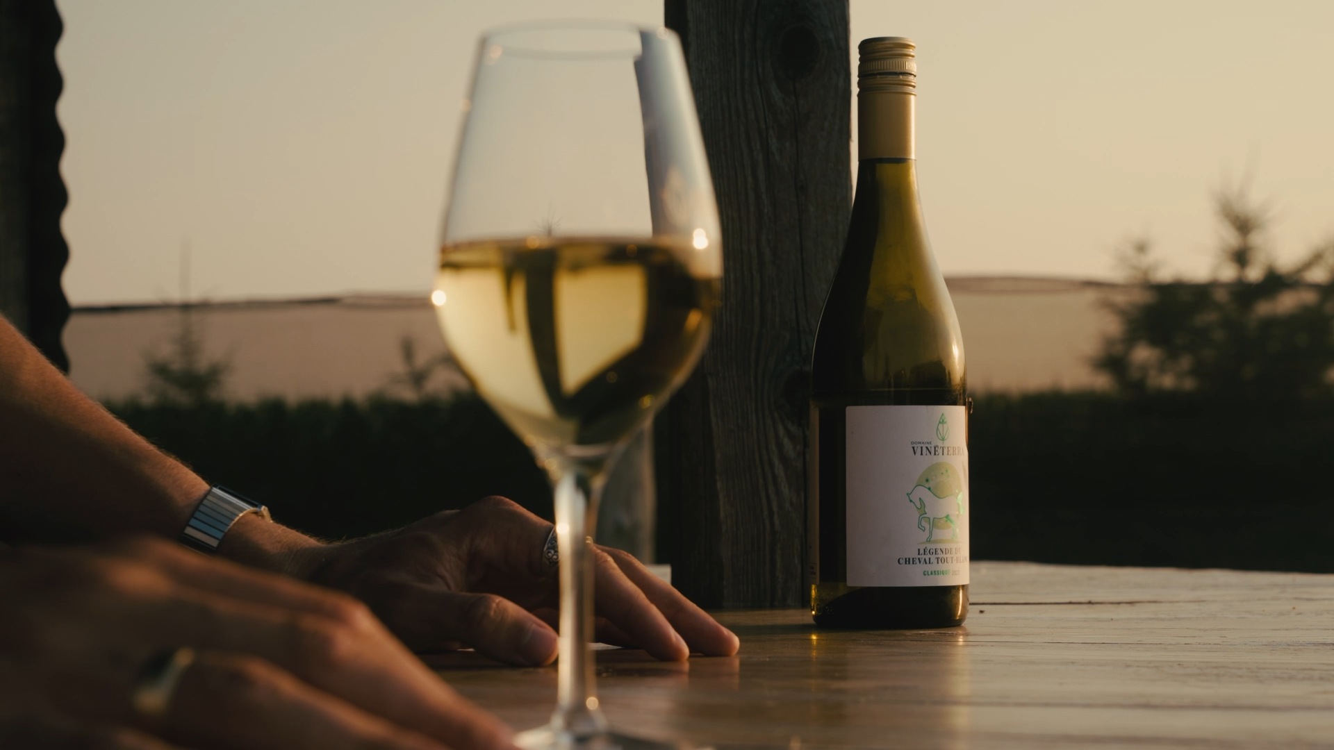 Vineterra bottle & glass.png