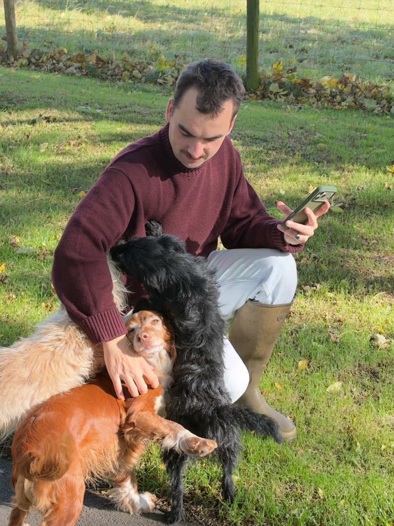 A man sitting outdoors in a grassy area with fallen leaves, surrounded by several dogs of different breeds and colors. He is using a smartphone and petting one of the dogs, a black and white spaniel.