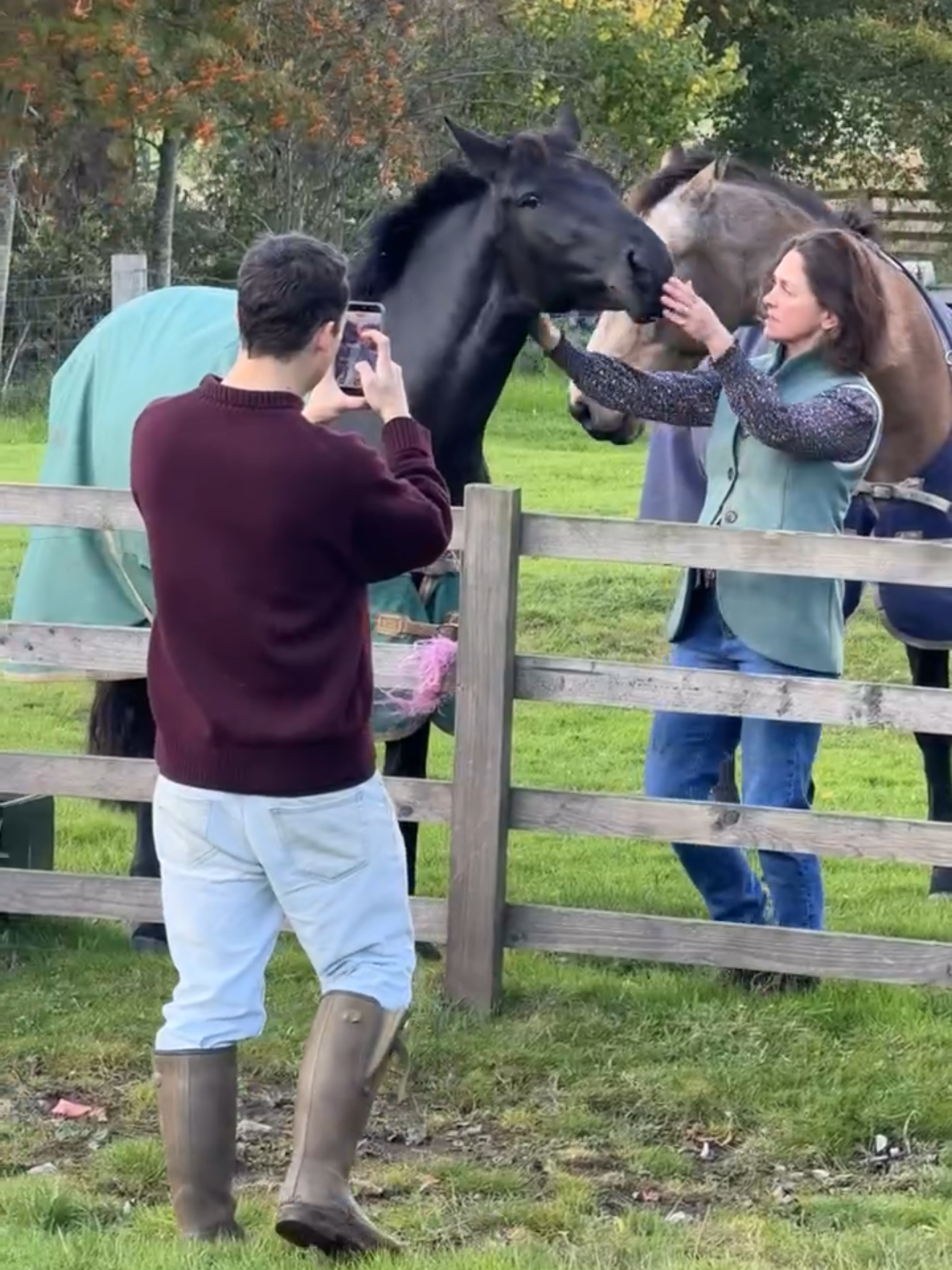 A woman pets a black horse behind a wooden fence while a man in a maroon sweater and white pants records or takes a photo with his phone. Another horse is partially visible in the background. The scene is outdoors with green grass and trees.