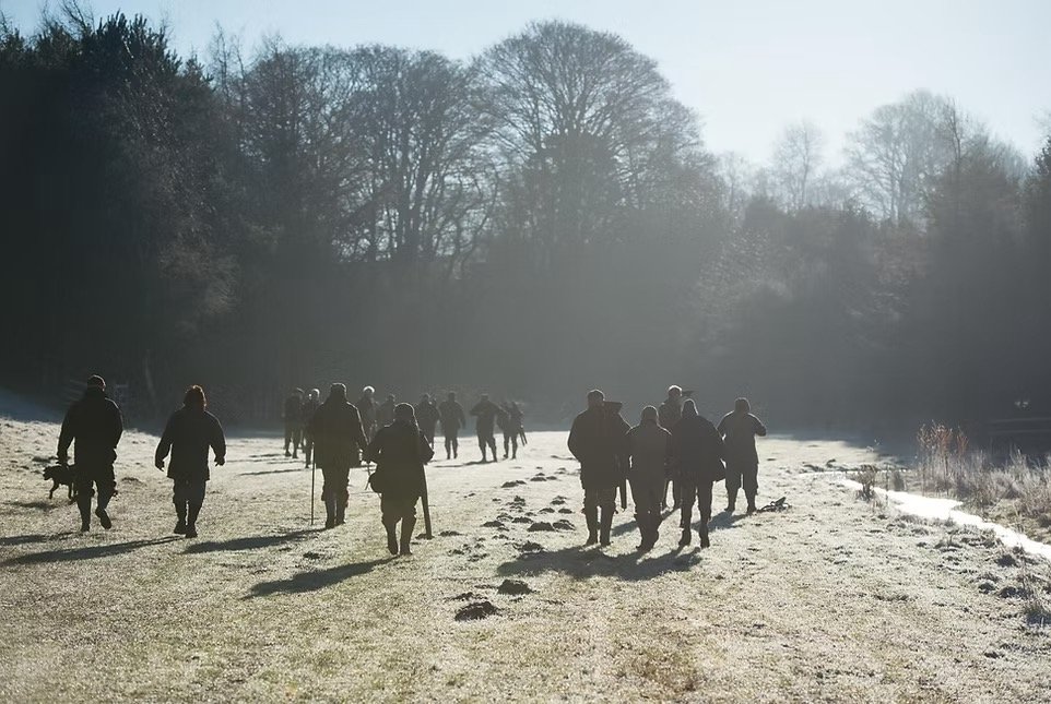 People walking along a frosty, wooded trail in the early morning sunlight.